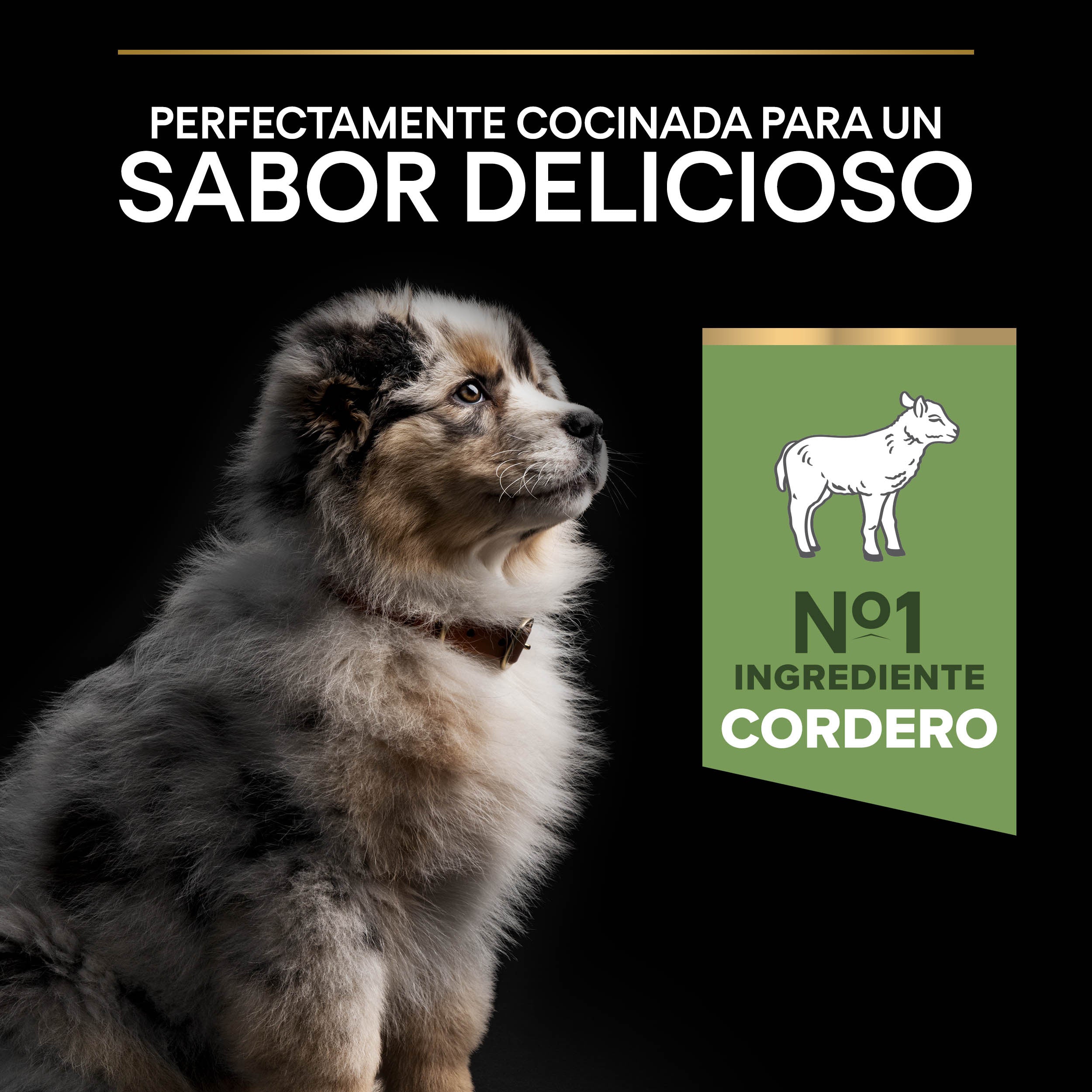 Pro Plan Dog Medium Puppy Digest Cordero Pienso para Cachorros al mejor precio -todoastorenimal.com