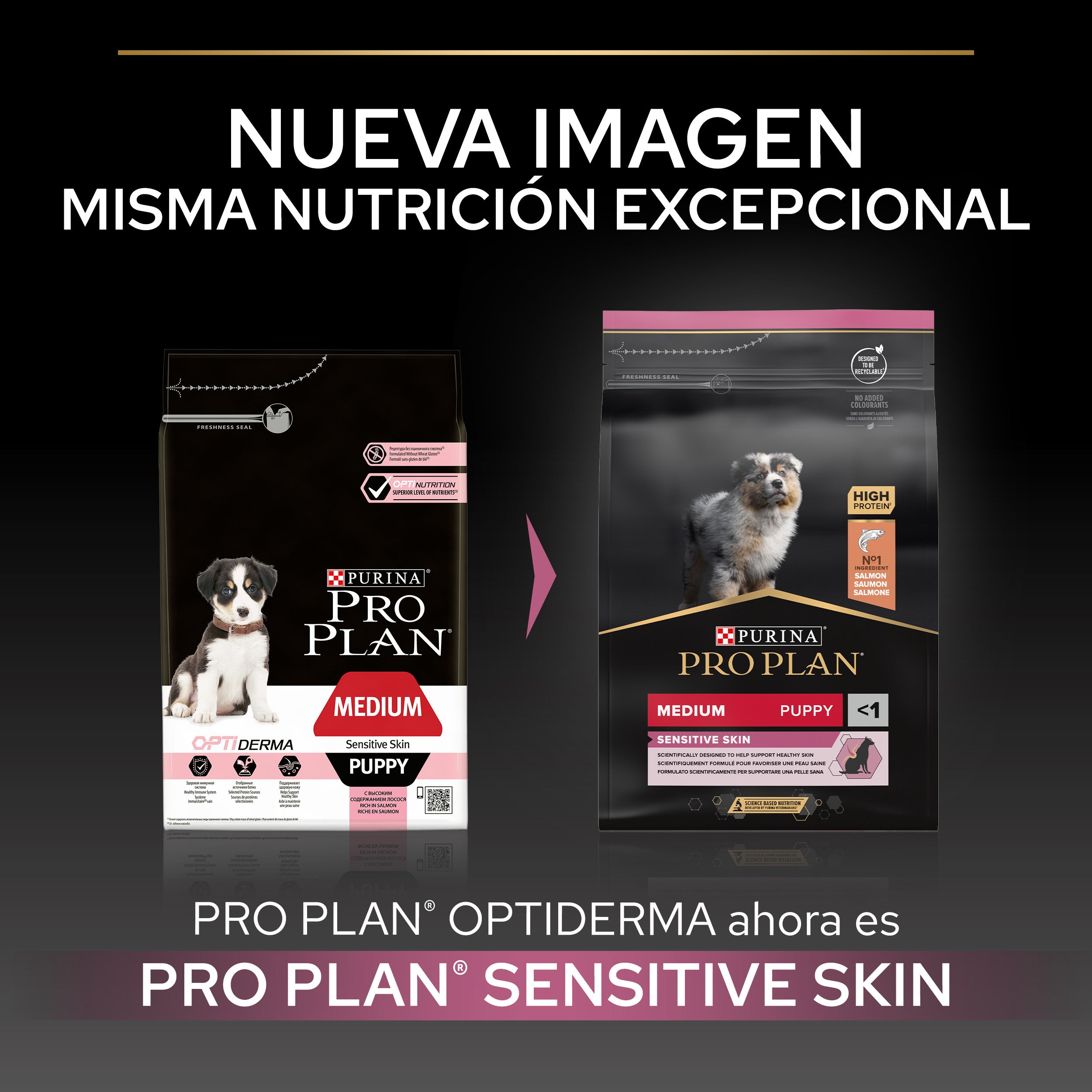 Pro Plan Dog Medium Puppy Sensitive Skin Salmón Pienso para Perros al mejor precio -todoastorenimal.com