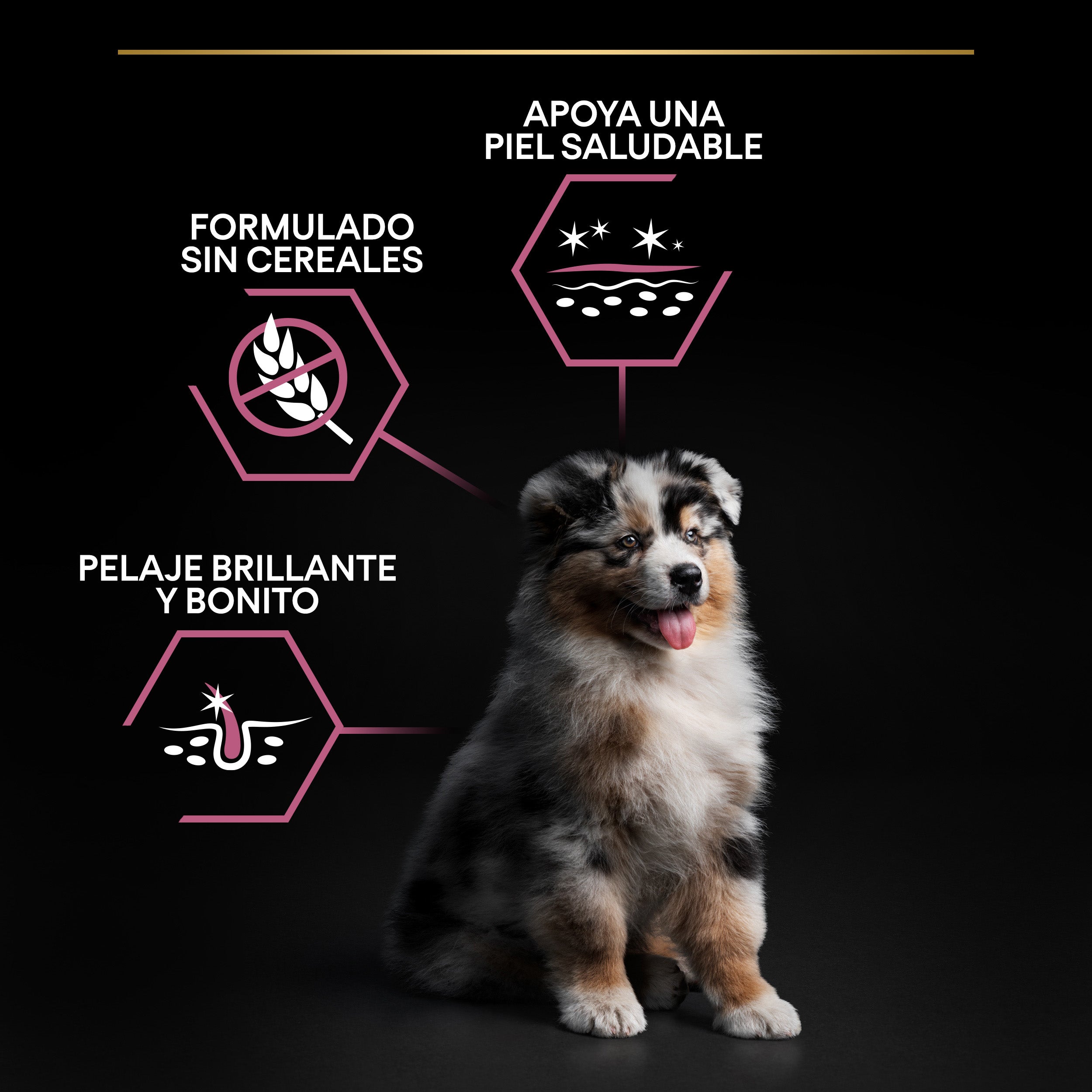 Pro Plan Dog Medium Puppy Sensitive Skin Salmón Pienso para Perros al mejor precio -todoastorenimal.com