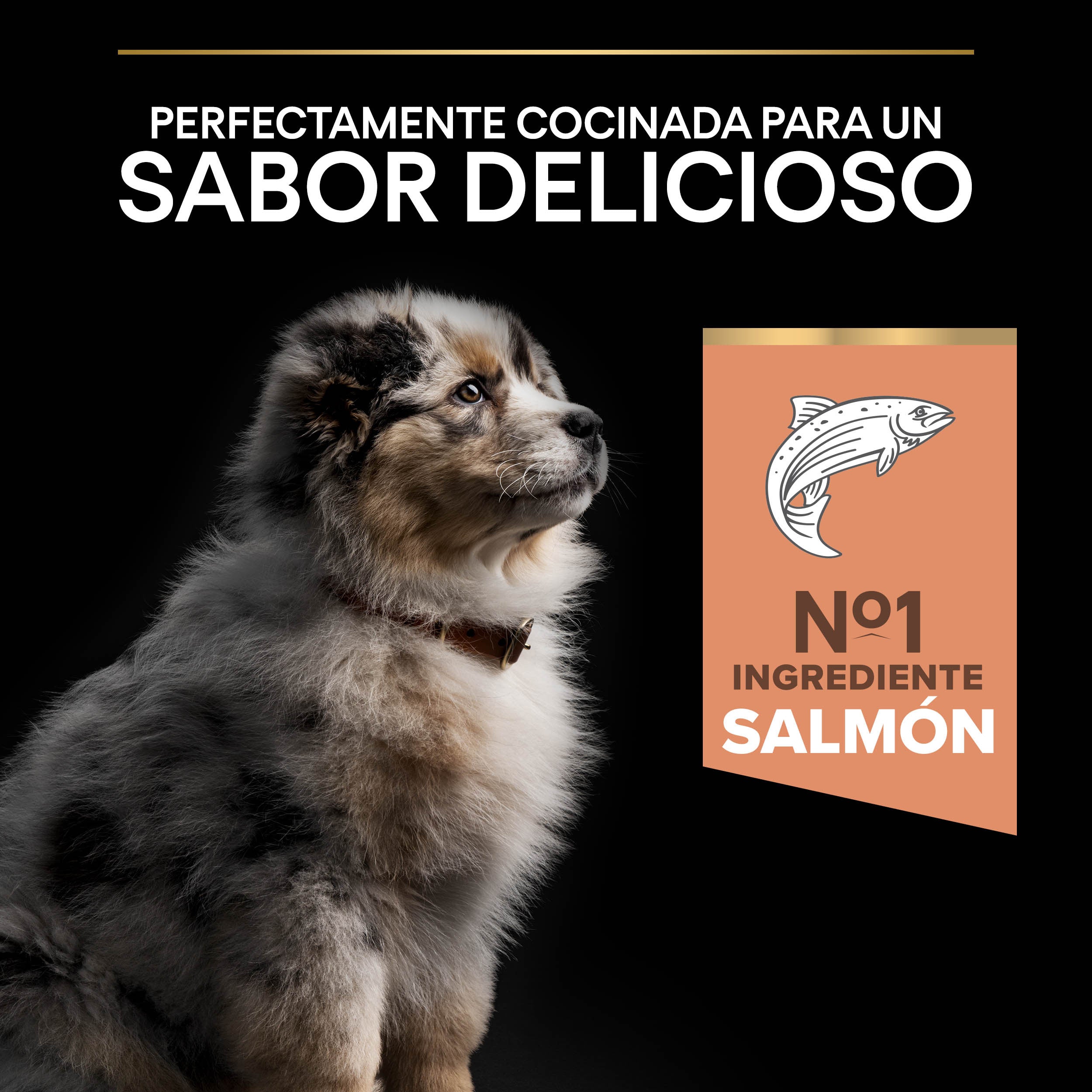 Pro Plan Dog Medium Puppy Sensitive Skin Salmón Pienso para Perros al mejor precio -todoastorenimal.com