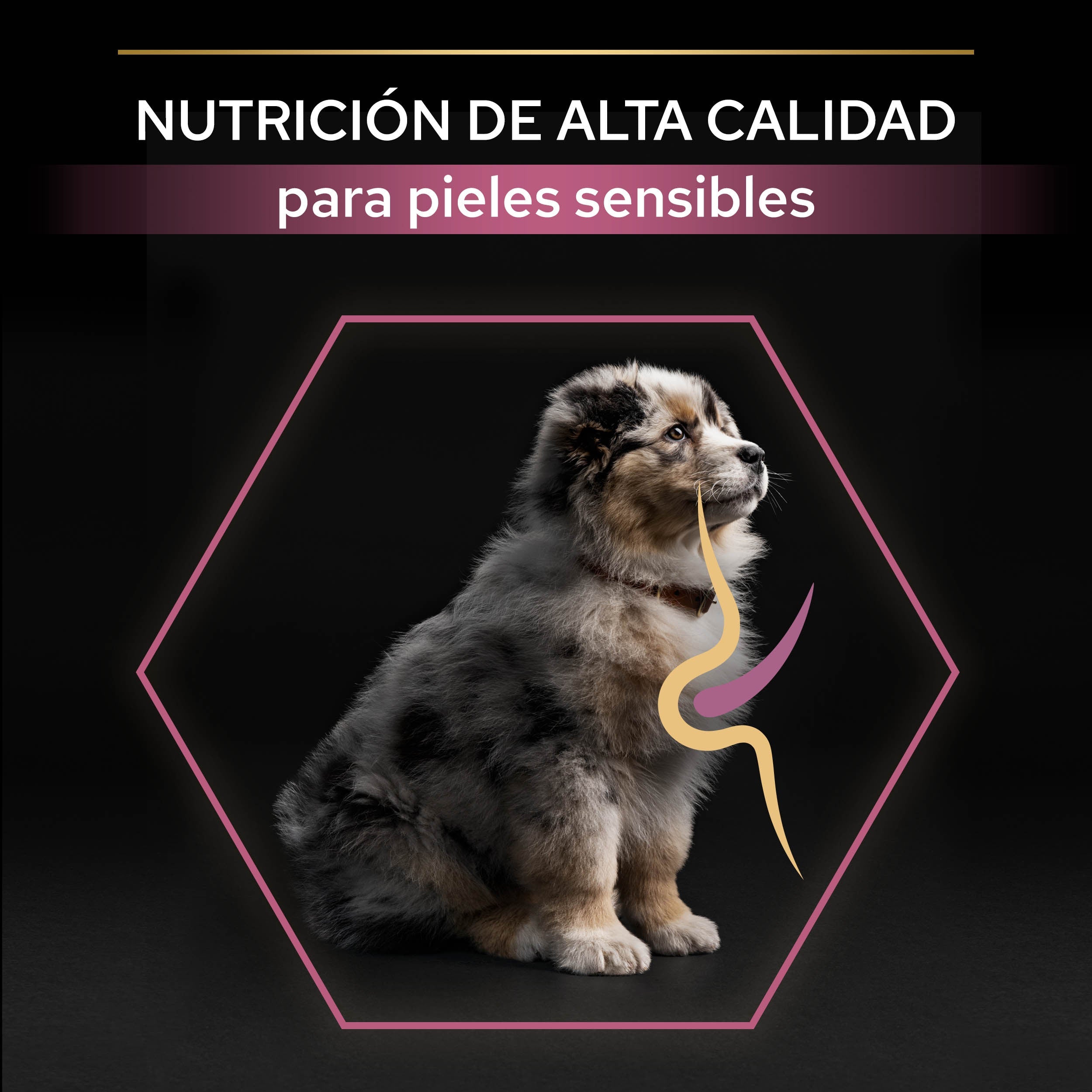 Pro Plan Dog Medium Puppy Sensitive Skin Salmón Pienso para Perros al mejor precio -todoastorenimal.com