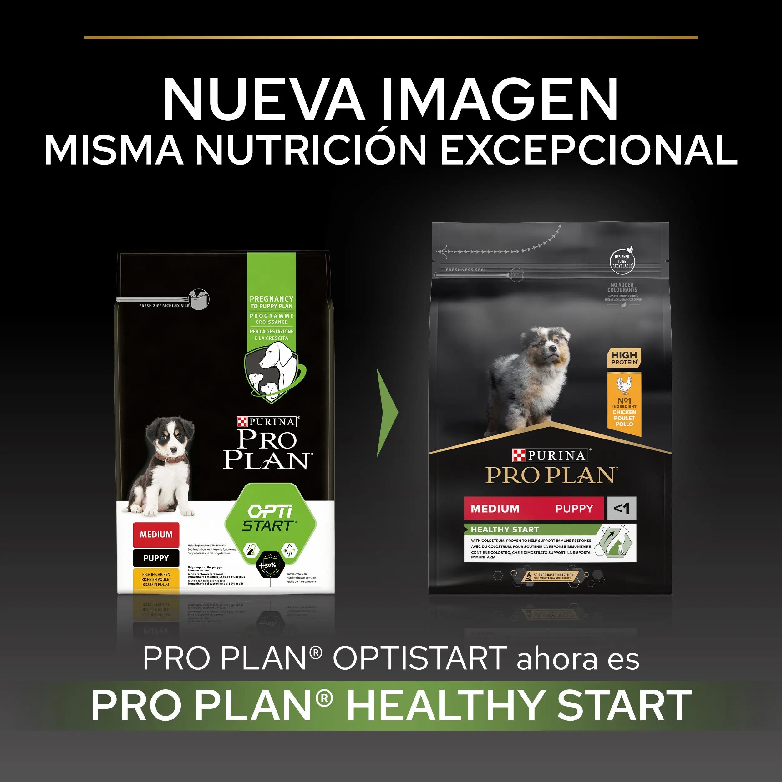 Pro Plan Dog Medium Puppy Start Pollo 3 kg al mejor precio -todoastorenimal.com