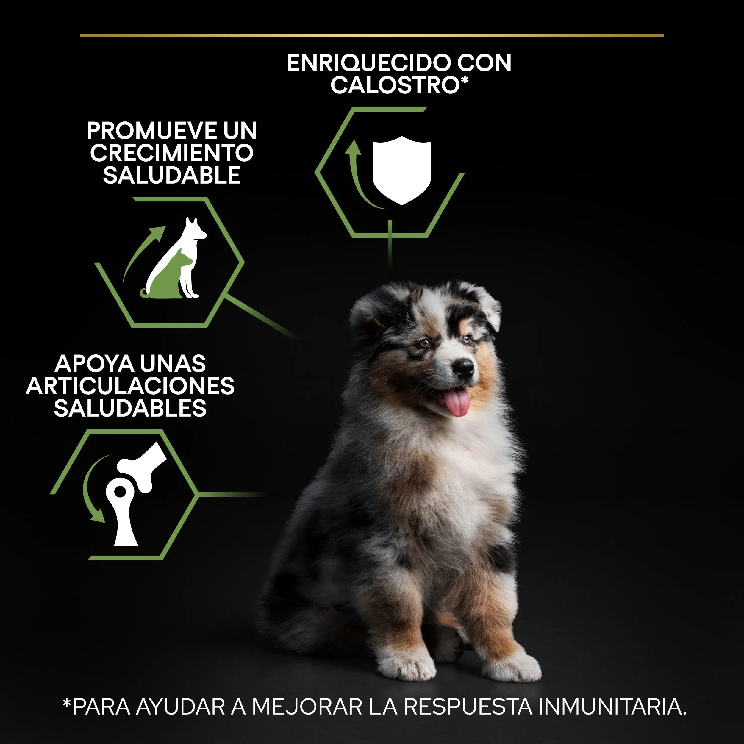 Pro Plan Dog Medium Puppy Start Pollo 3 kg al mejor precio -todoastorenimal.com