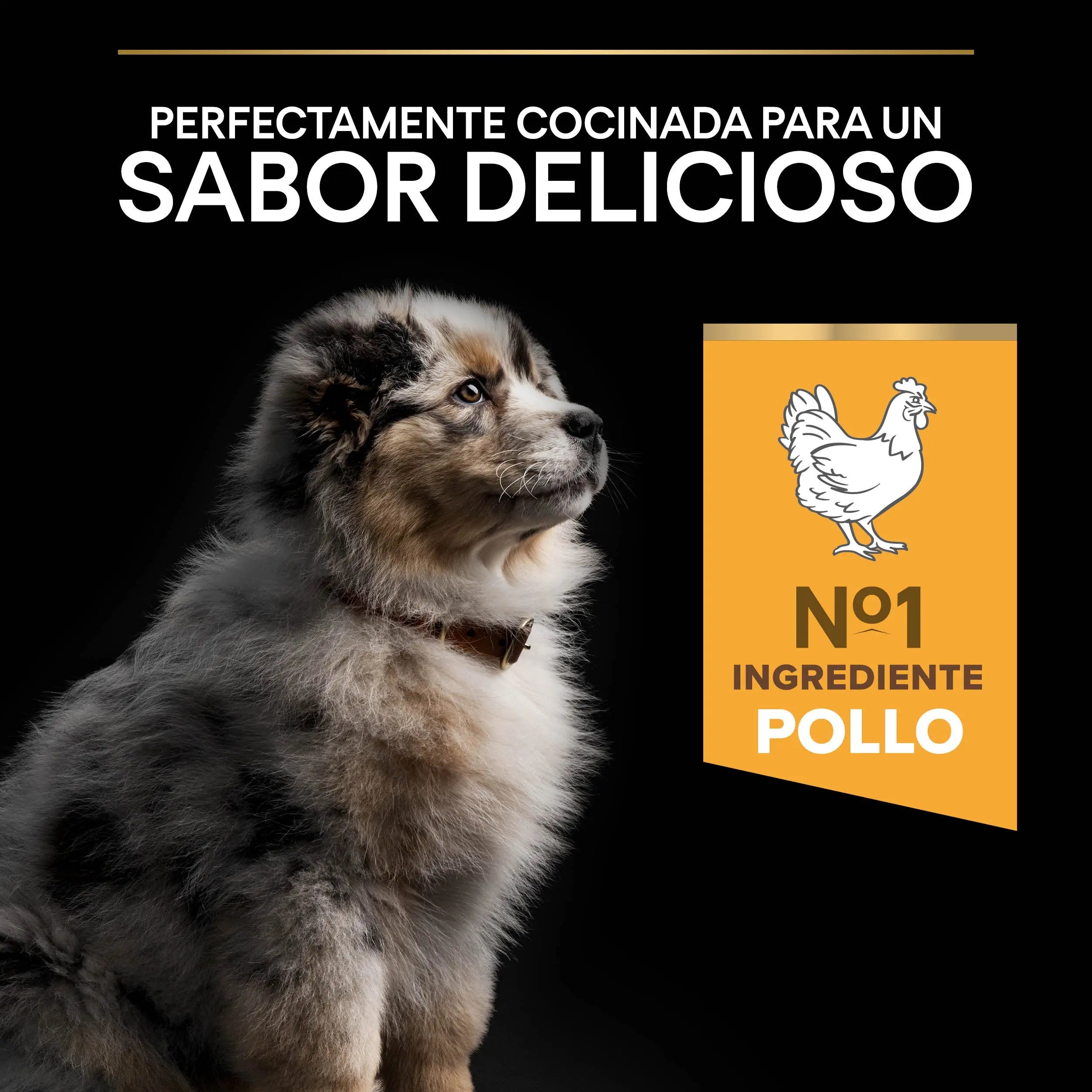 Pro Plan Dog Medium Puppy Start Pollo 3 kg al mejor precio -todoastorenimal.com