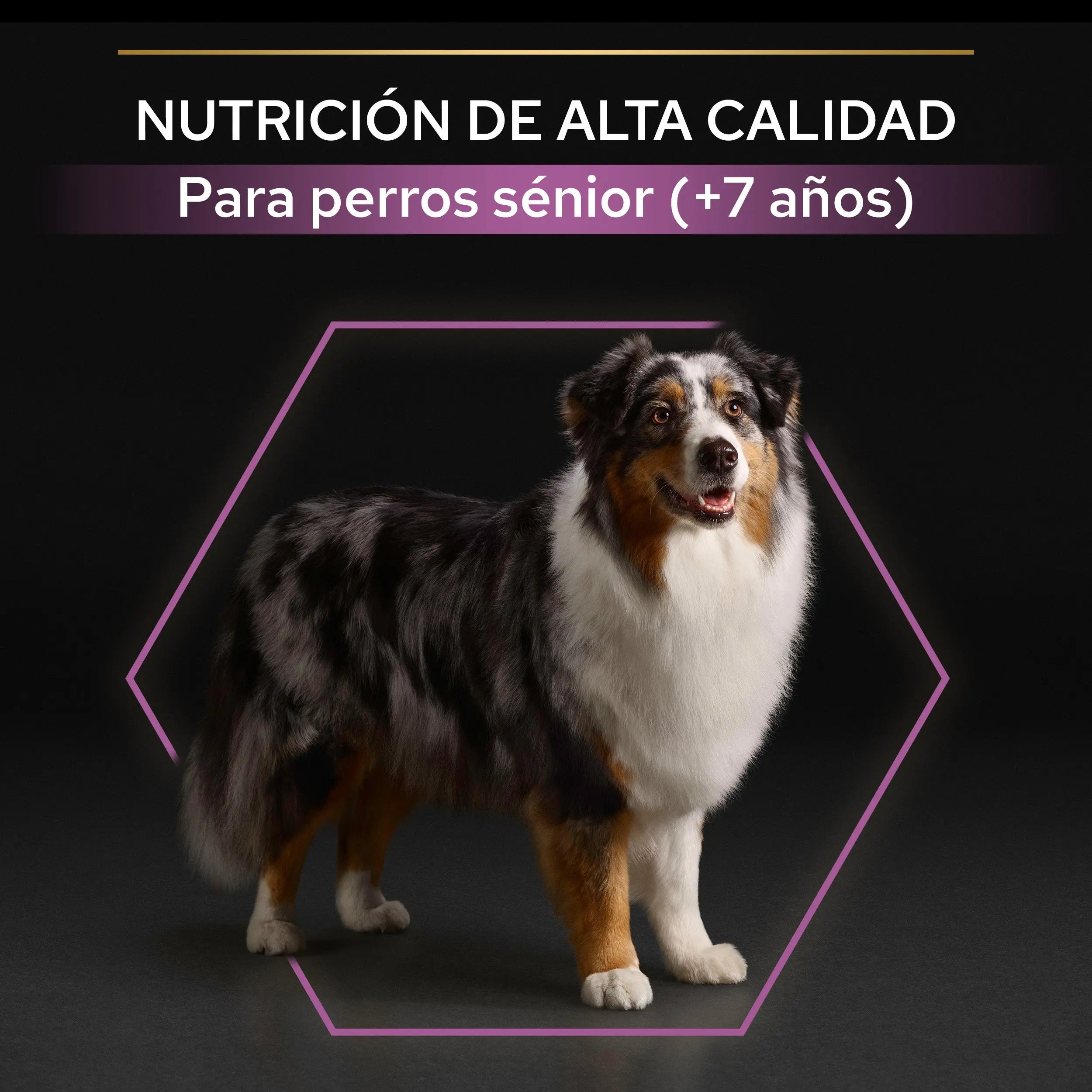 Pro Plan Dog Medium & Large Adult Agedefen 7+ Pollo 3 kg al mejor precio -todoastorenimal.com