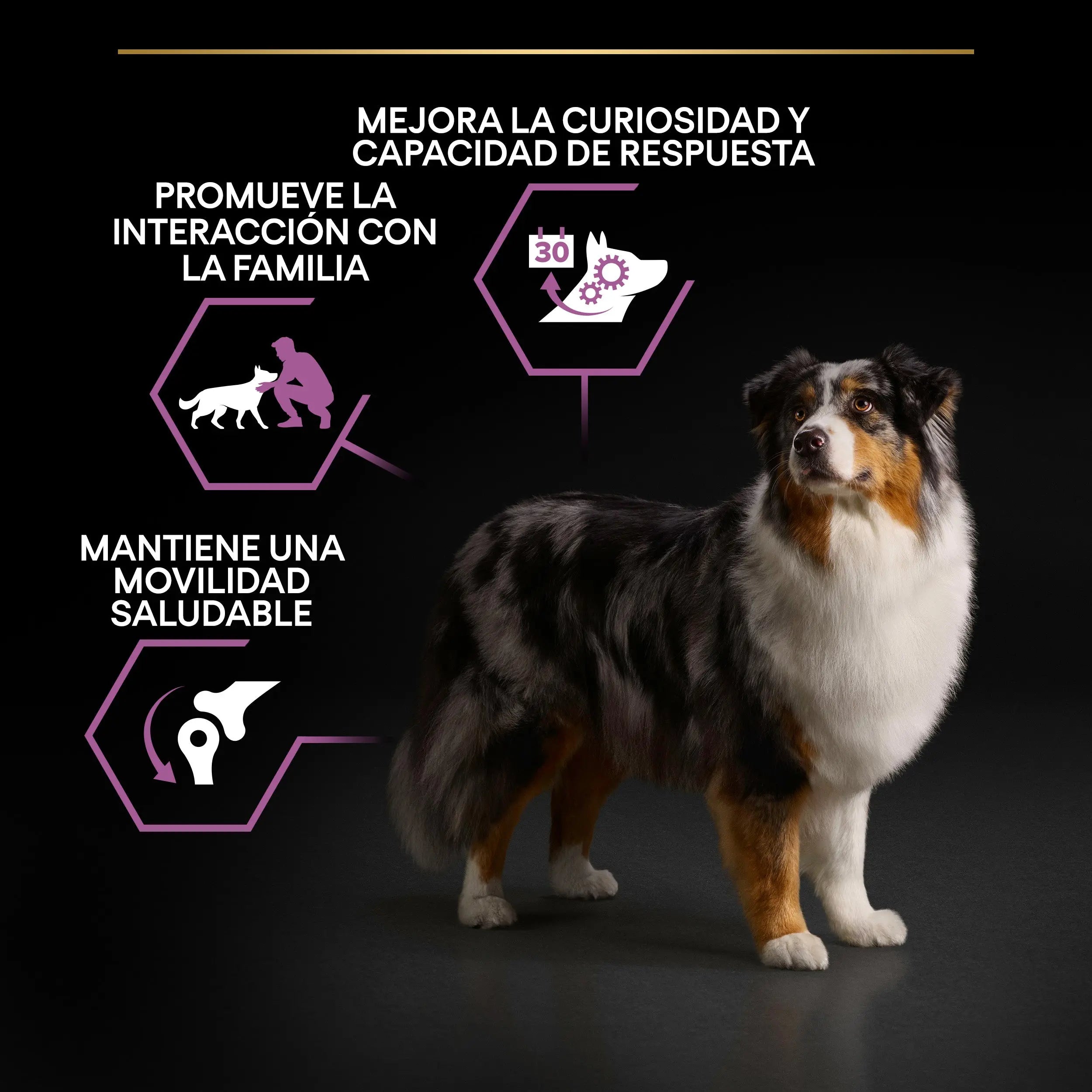 Pro Plan Dog Medium & Large Adult Agedefen 7+ Pollo 3 kg al mejor precio -todoastorenimal.com