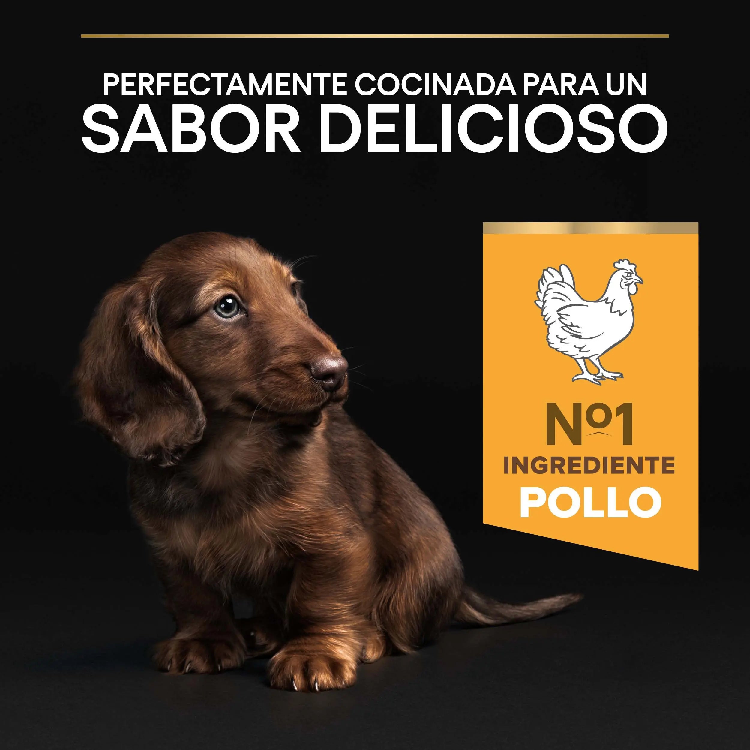 Pro Plan Dog Puppy Small & Mini Healthy Start Pollo Pienso para Cachorros al mejor precio -todoastorenimal.com