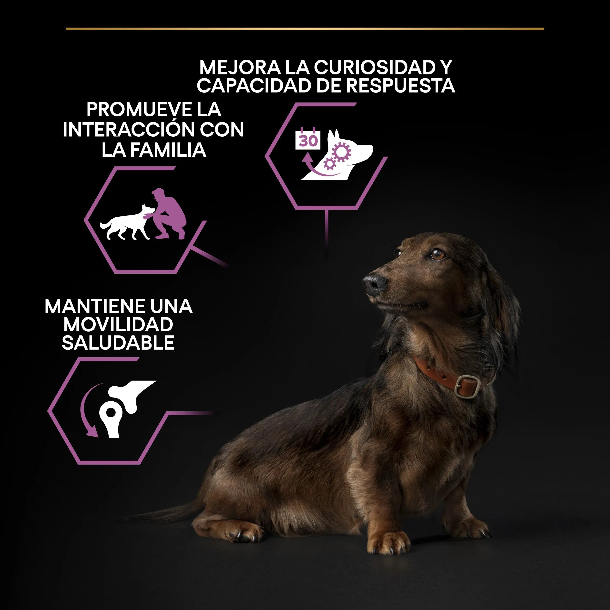 Pro Plan Dog Small & Mini Adult Agedefen 9+ Pollo 3 kg al mejor precio -todoastorenimal.com