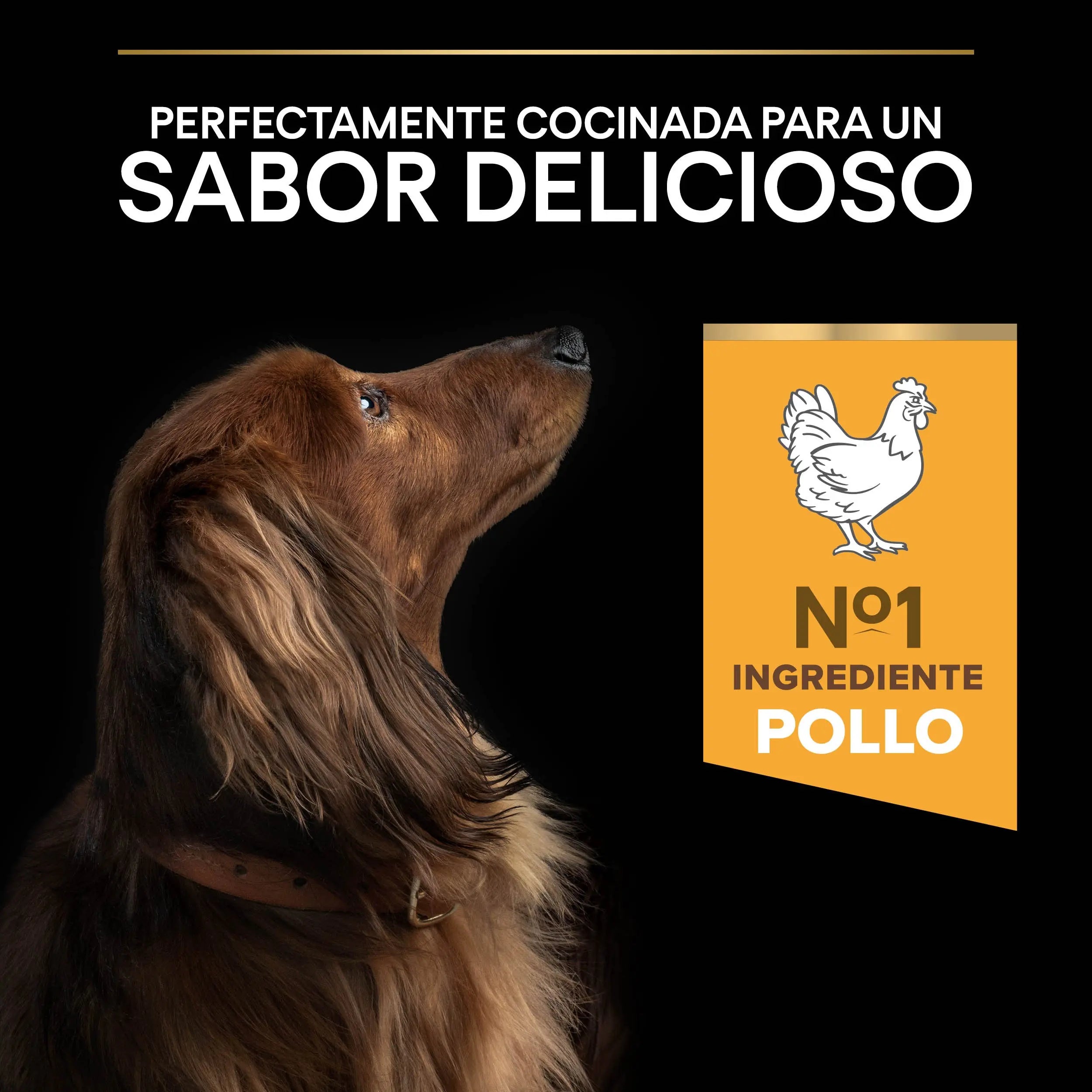 Pro Plan Dog Small & Mini Adult Agedefen 9+ Pollo 3 kg al mejor precio -todoastorenimal.com