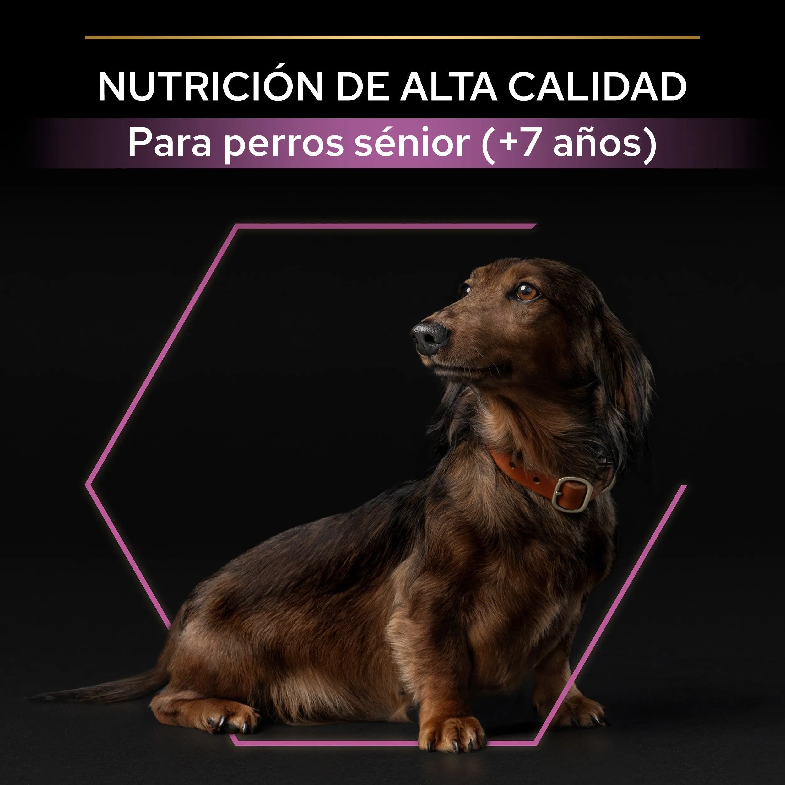 Pro Plan Dog Small & Mini Adult Agedefen 9+ Pollo 3 kg al mejor precio -todoastorenimal.com