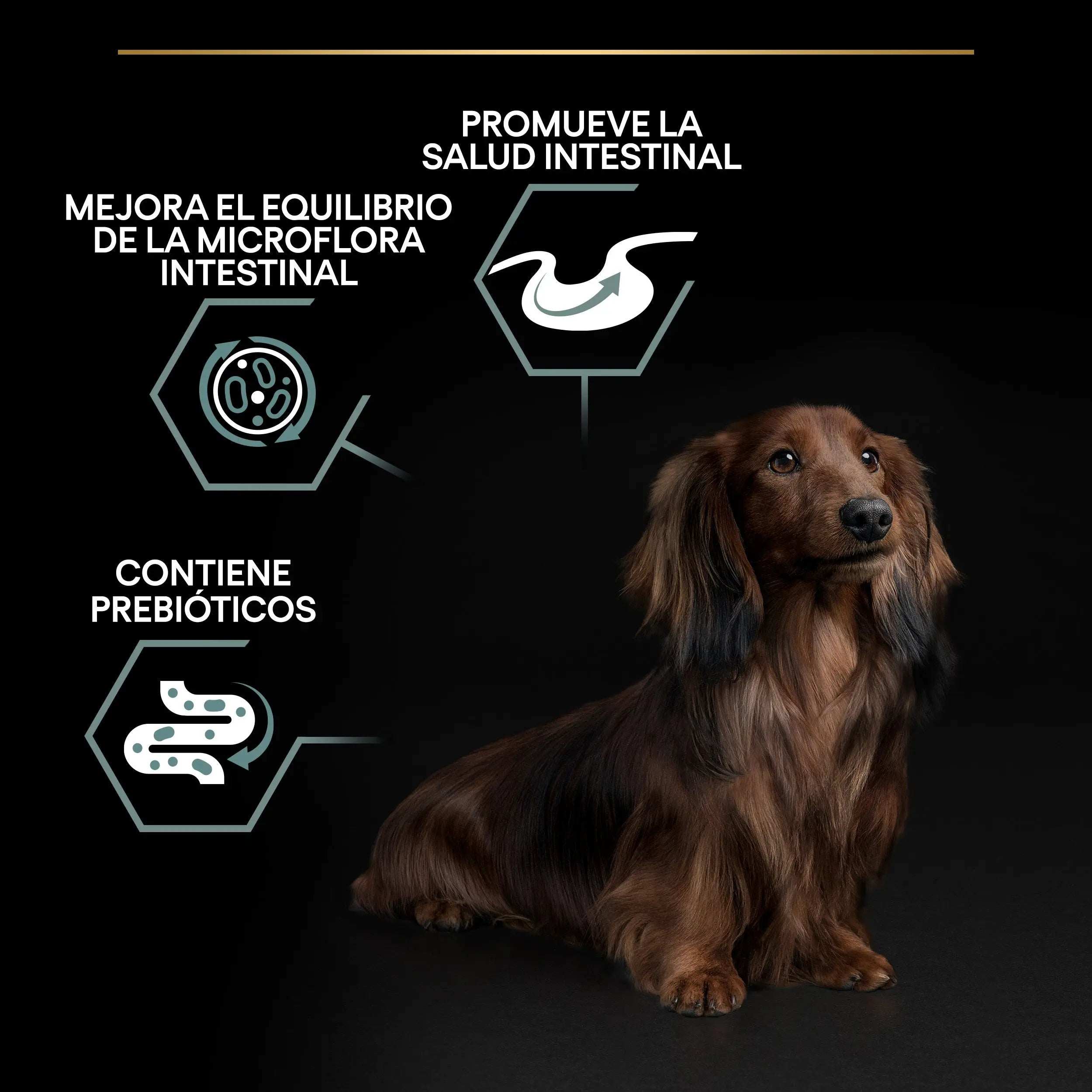 Pro Plan Dog Small & Mini Adult Digest Cordero Pienso para Perros al mejor precio -todoastorenimal.com