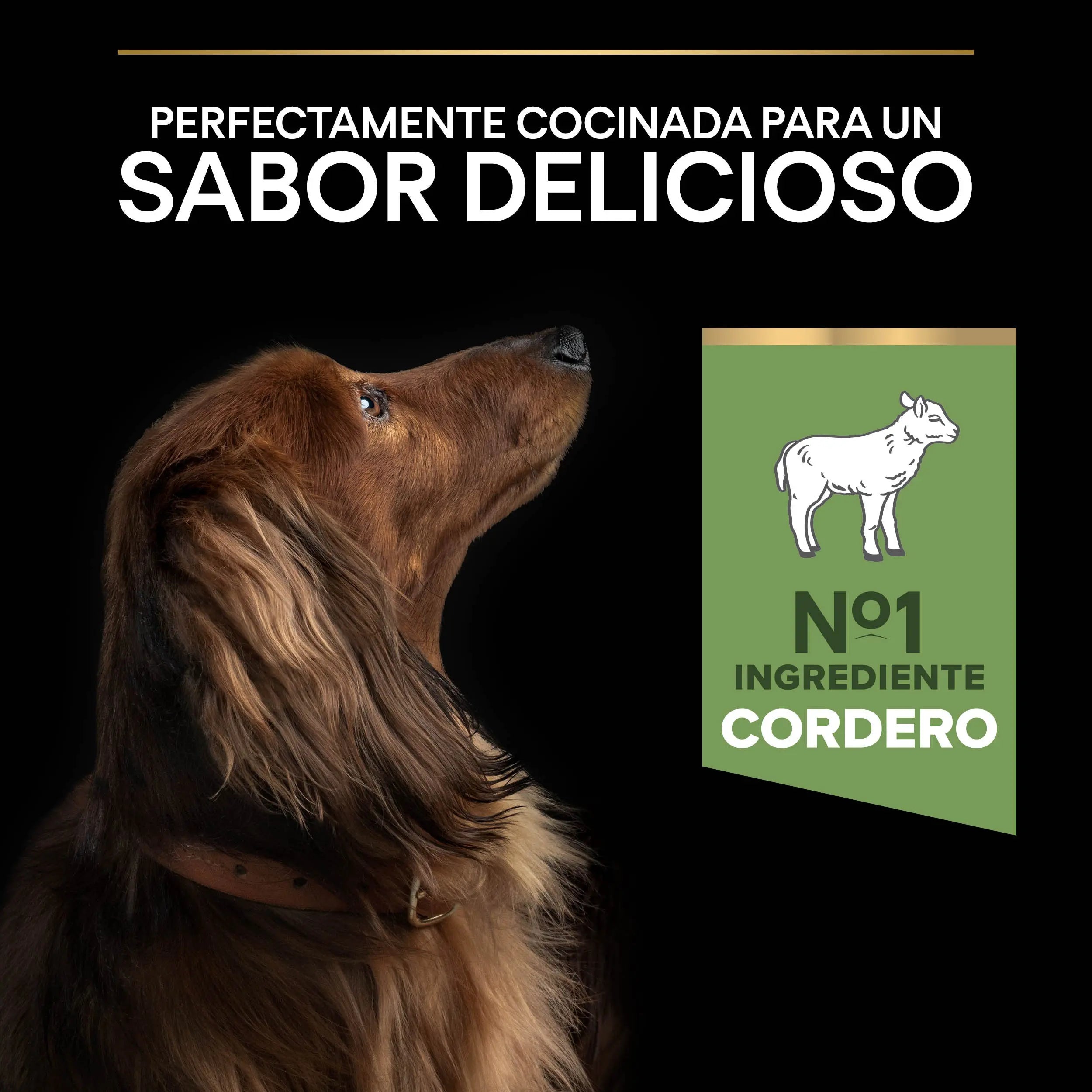 Pro Plan Dog Small & Mini Adult Digest Cordero Pienso para Perros al mejor precio -todoastorenimal.com