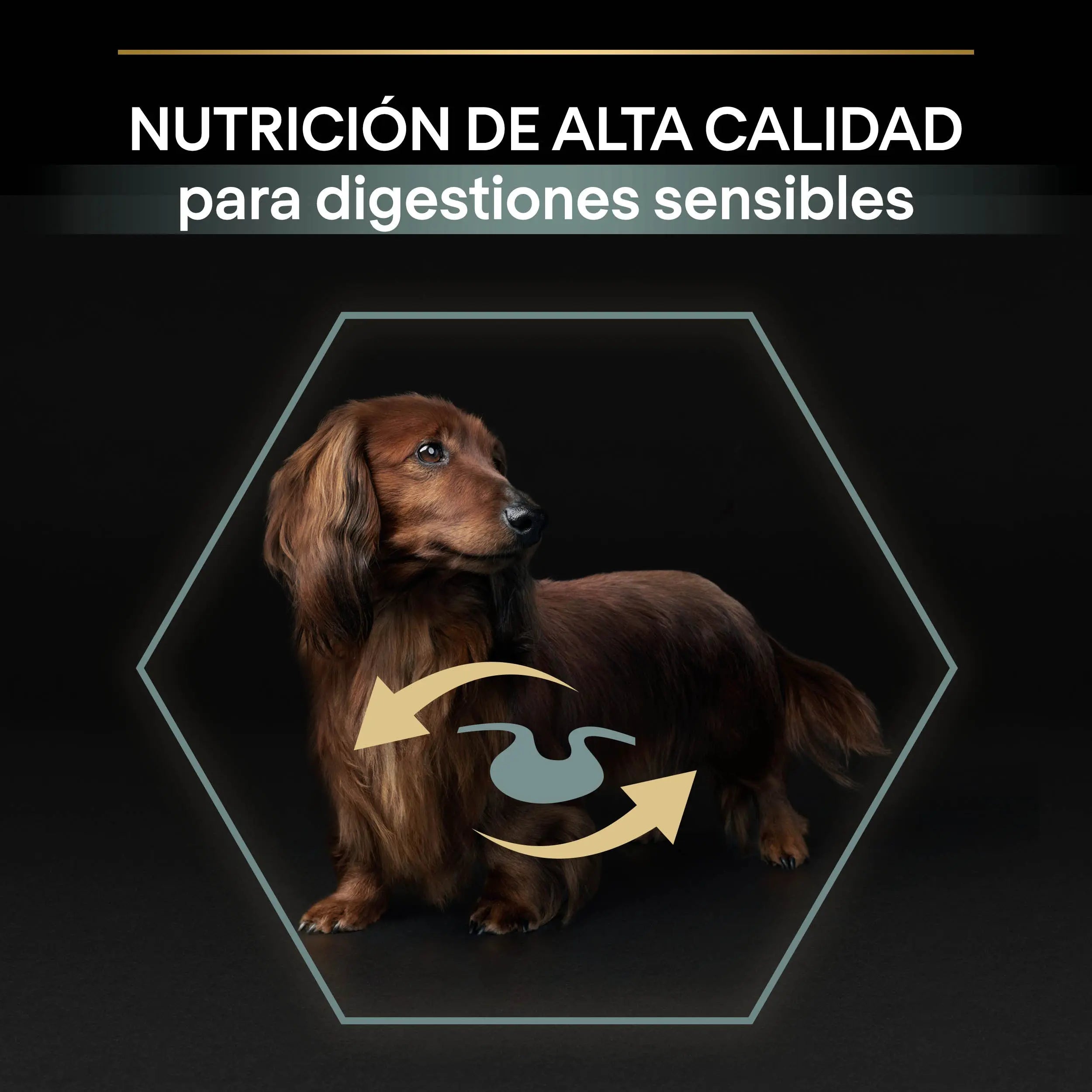 Pro Plan Dog Small & Mini Adult Digest Cordero Pienso para Perros al mejor precio -todoastorenimal.com
