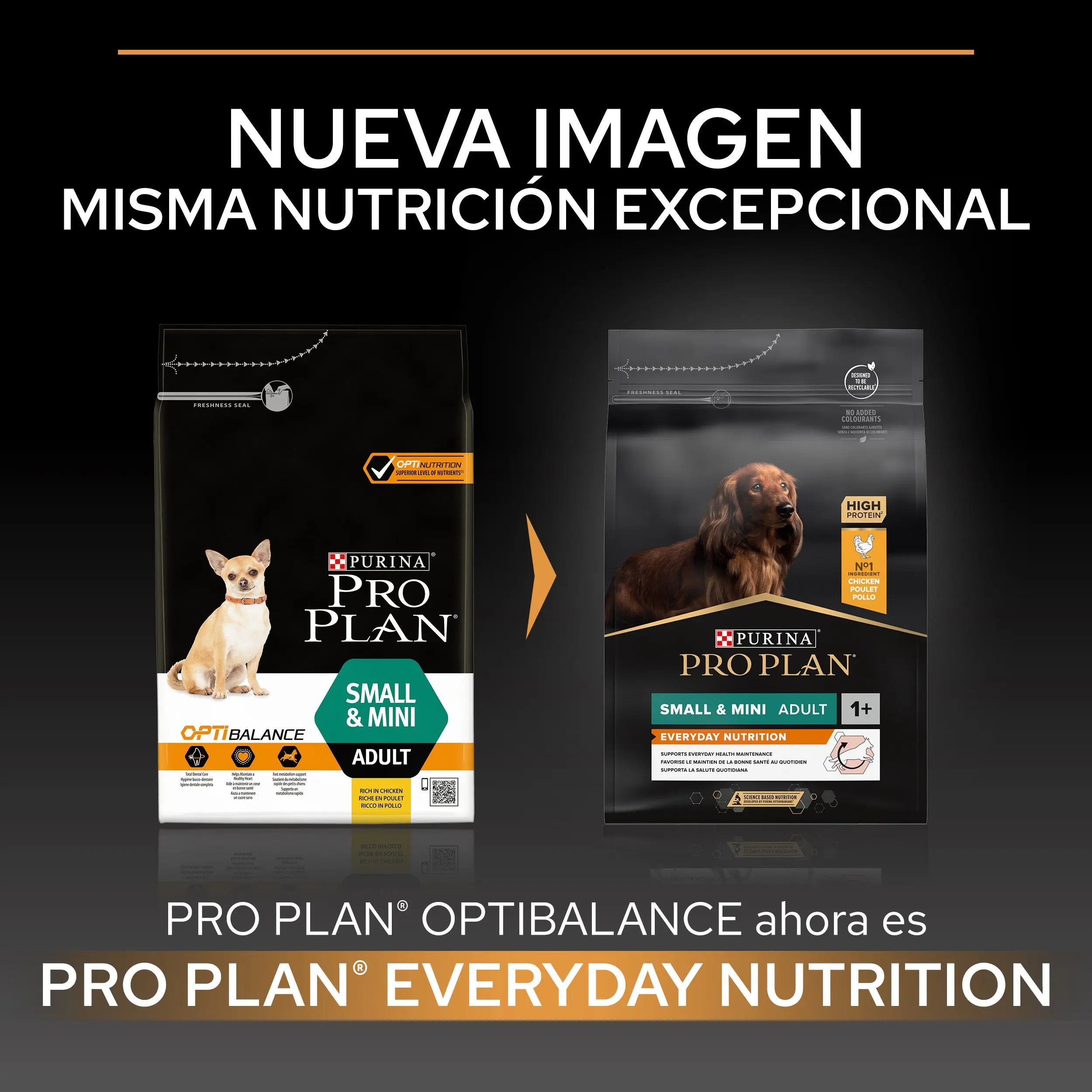 Pro Plan Dog Small & Mini Adult Pollo Pienso para Perros al mejor precio -todoastorenimal.com
