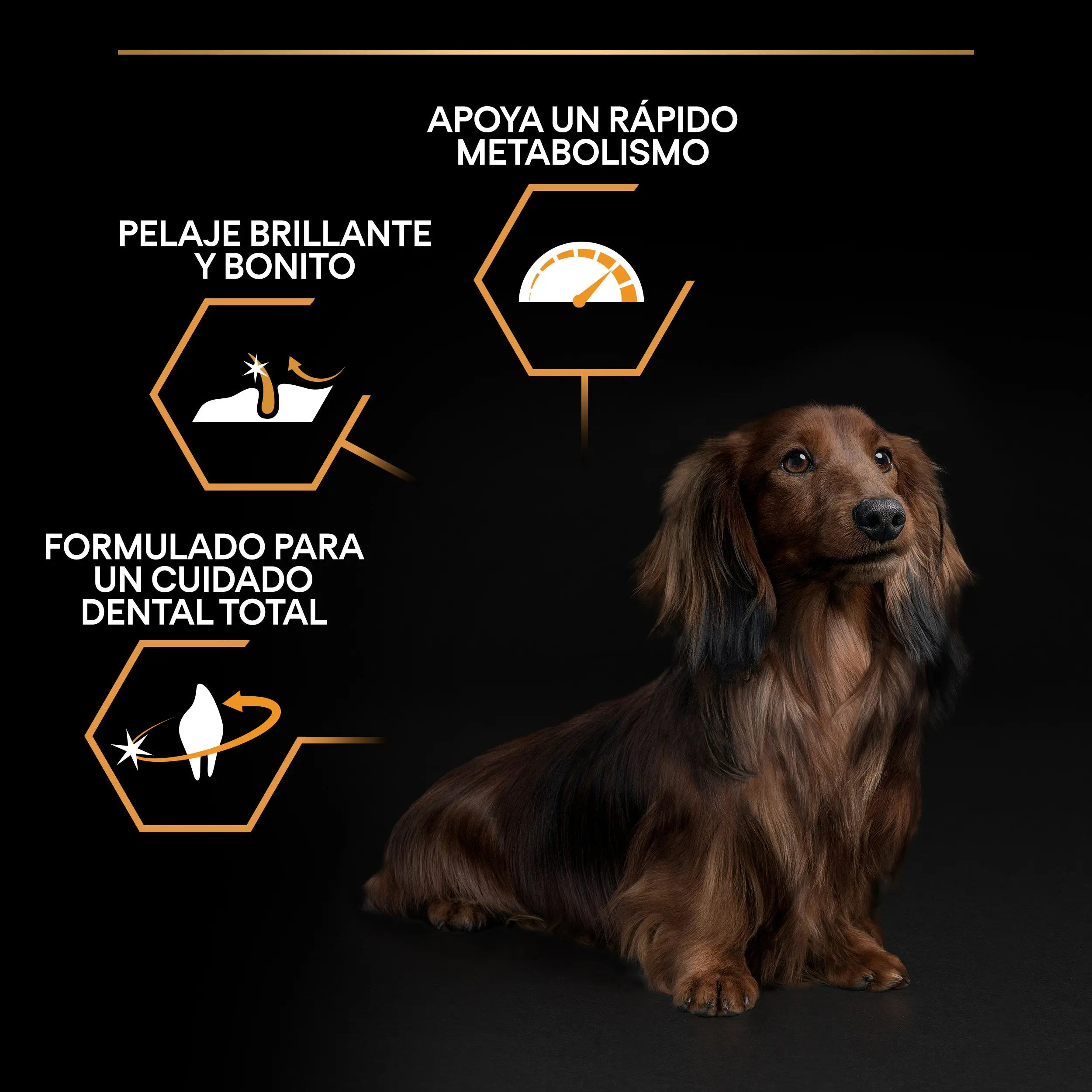 Pro Plan Dog Small & Mini Adult Pollo Pienso para Perros al mejor precio -todoastorenimal.com