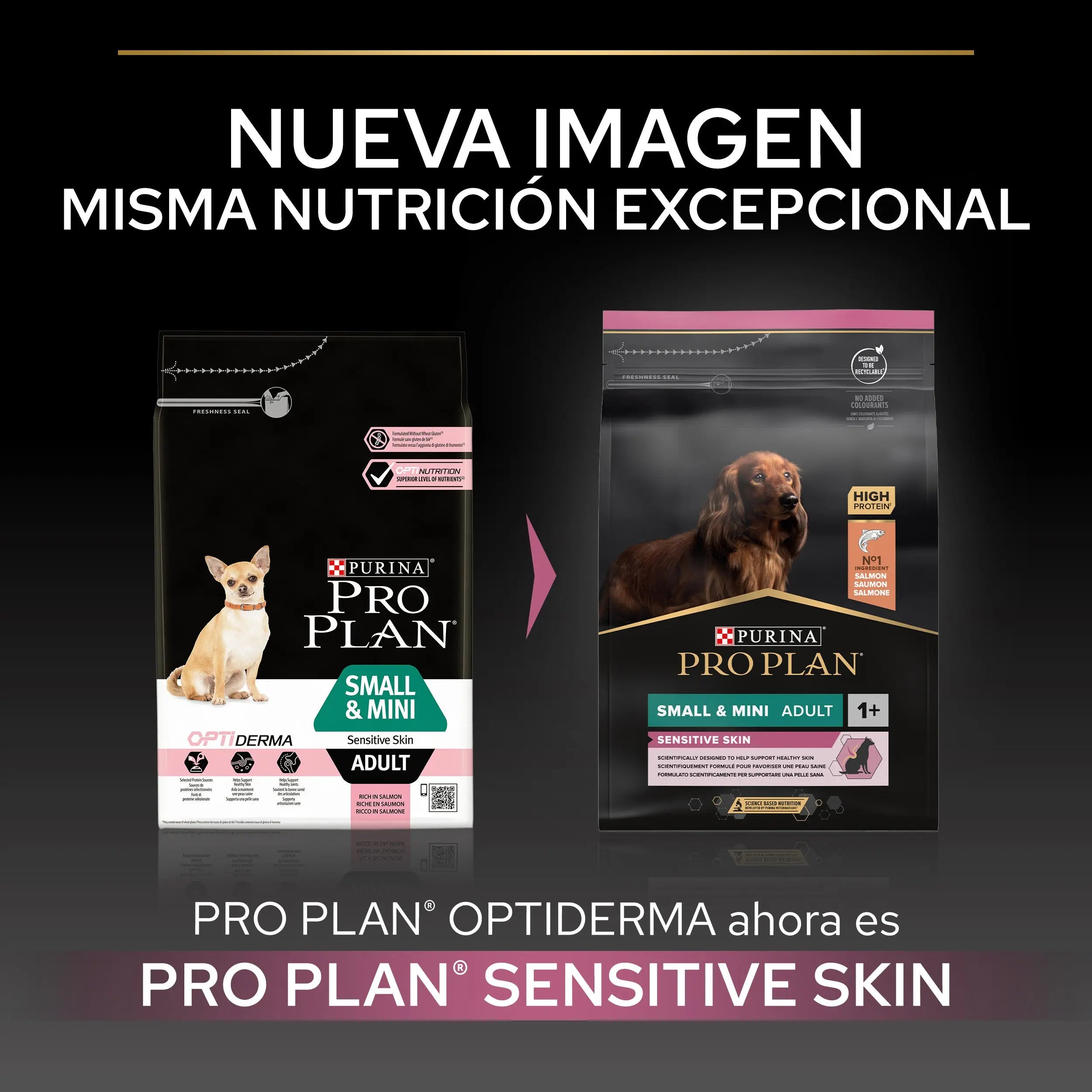 Pro Plan Dog Small & Mini Adult Skin Salmón Pienso para Perros al mejor precio -todoastorenimal.com