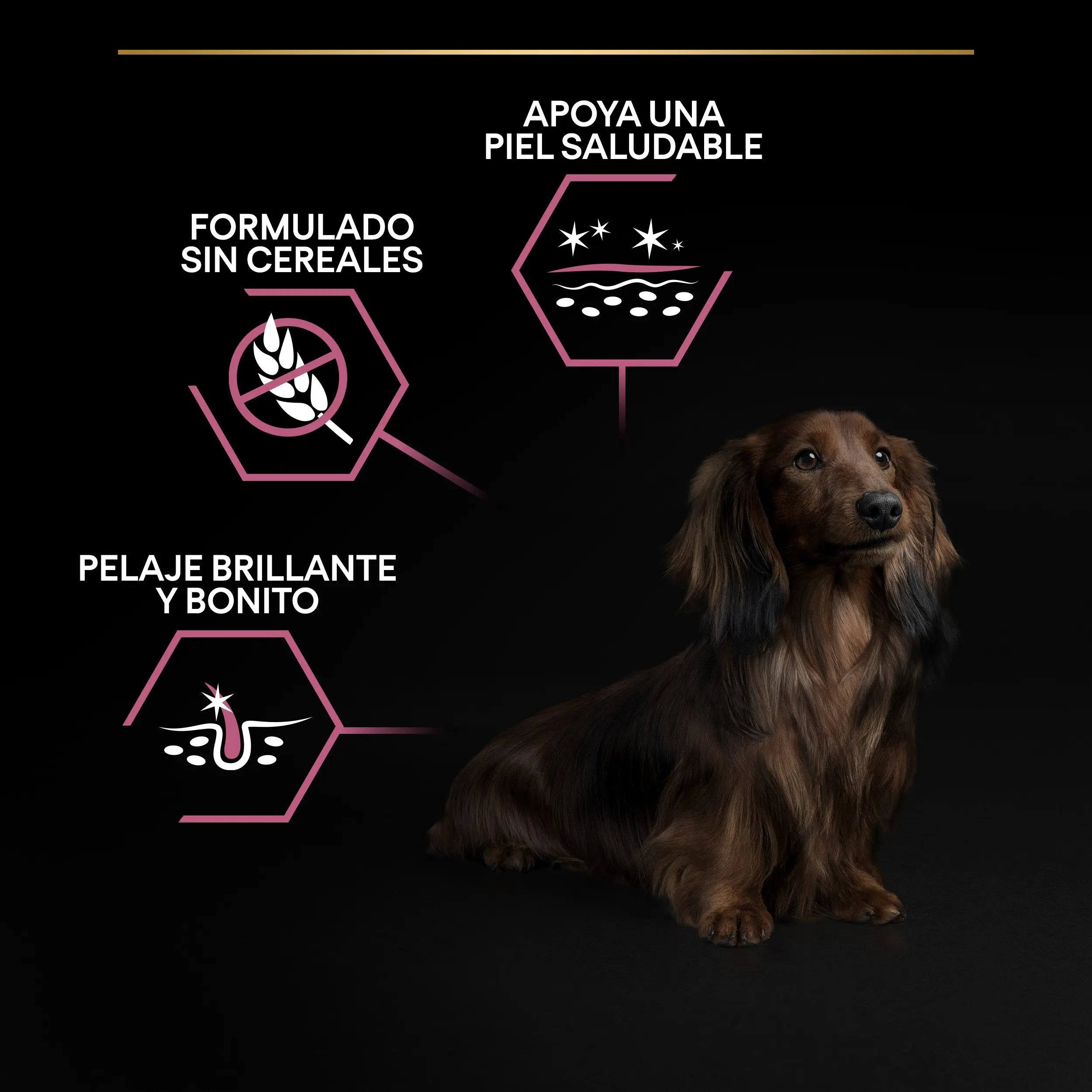 Pro Plan Dog Small & Mini Adult Skin Salmón Pienso para Perros al mejor precio -todoastorenimal.com