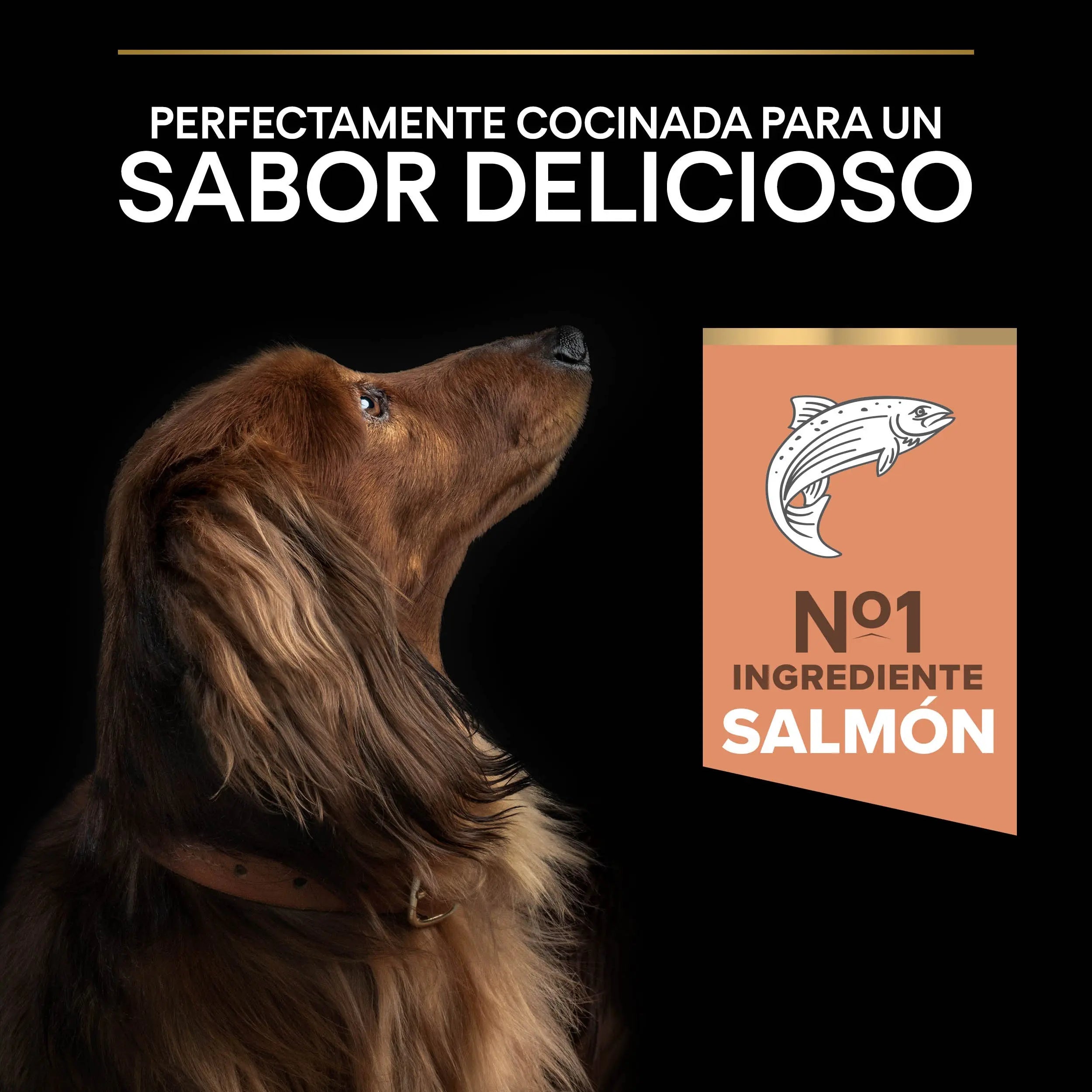 Pro Plan Dog Small & Mini Adult Skin Salmón Pienso para Perros al mejor precio -todoastorenimal.com