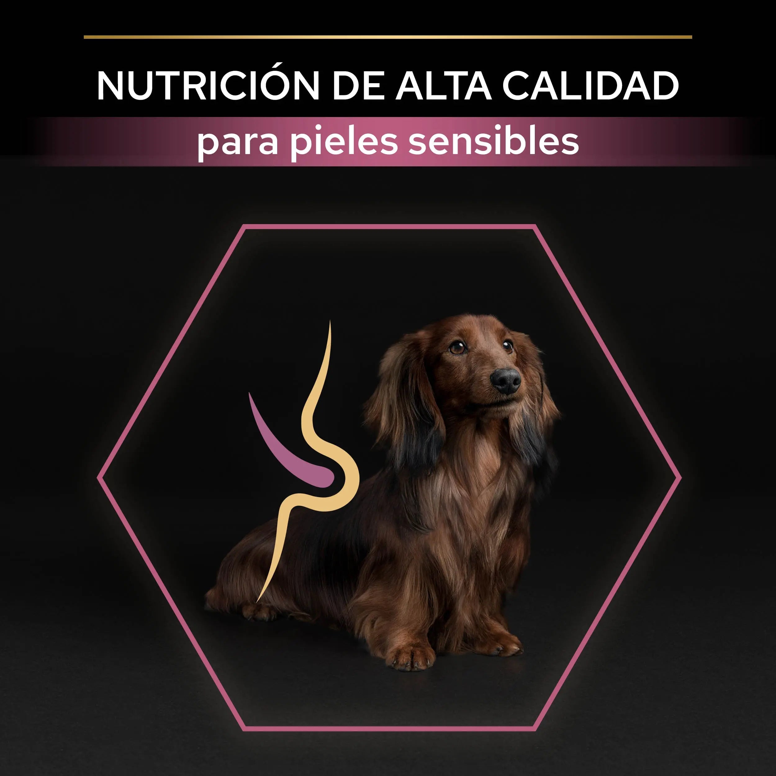 Pro Plan Dog Small & Mini Adult Skin Salmón Pienso para Perros al mejor precio -todoastorenimal.com