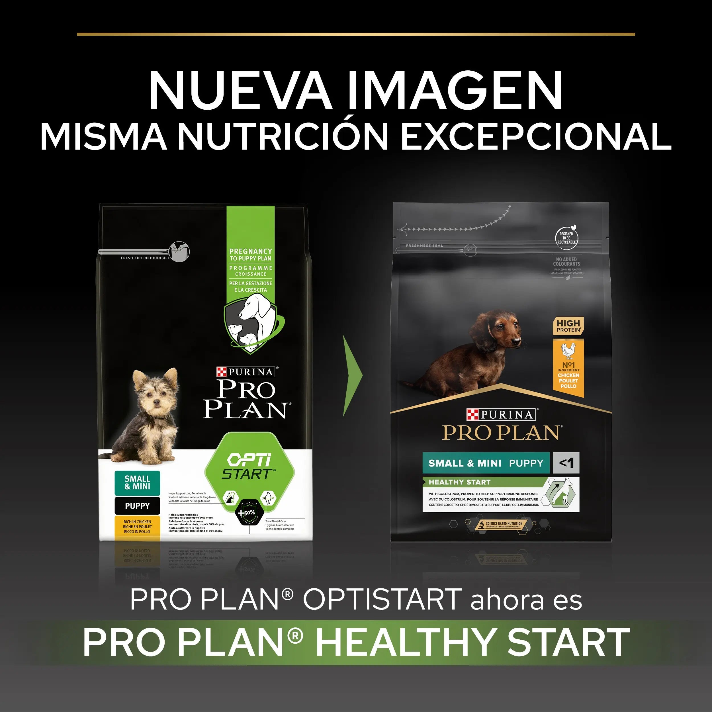 Pro Plan Puppy Small & Mini Start Pollo Pienso para Cachorros al mejor precio -todoastorenimal.com