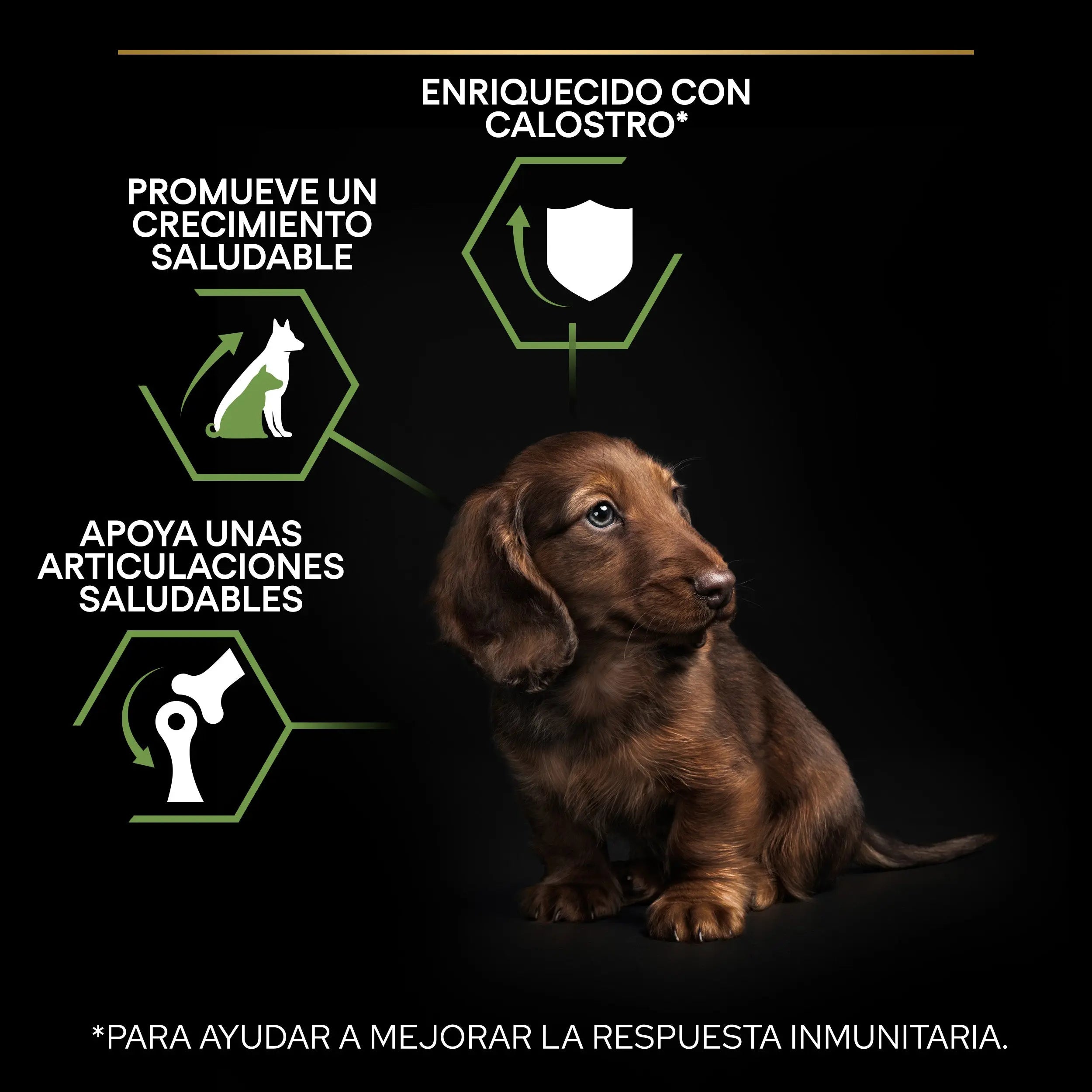 Pro Plan Puppy Small & Mini Start Pollo Pienso para Cachorros al mejor precio -todoastorenimal.com