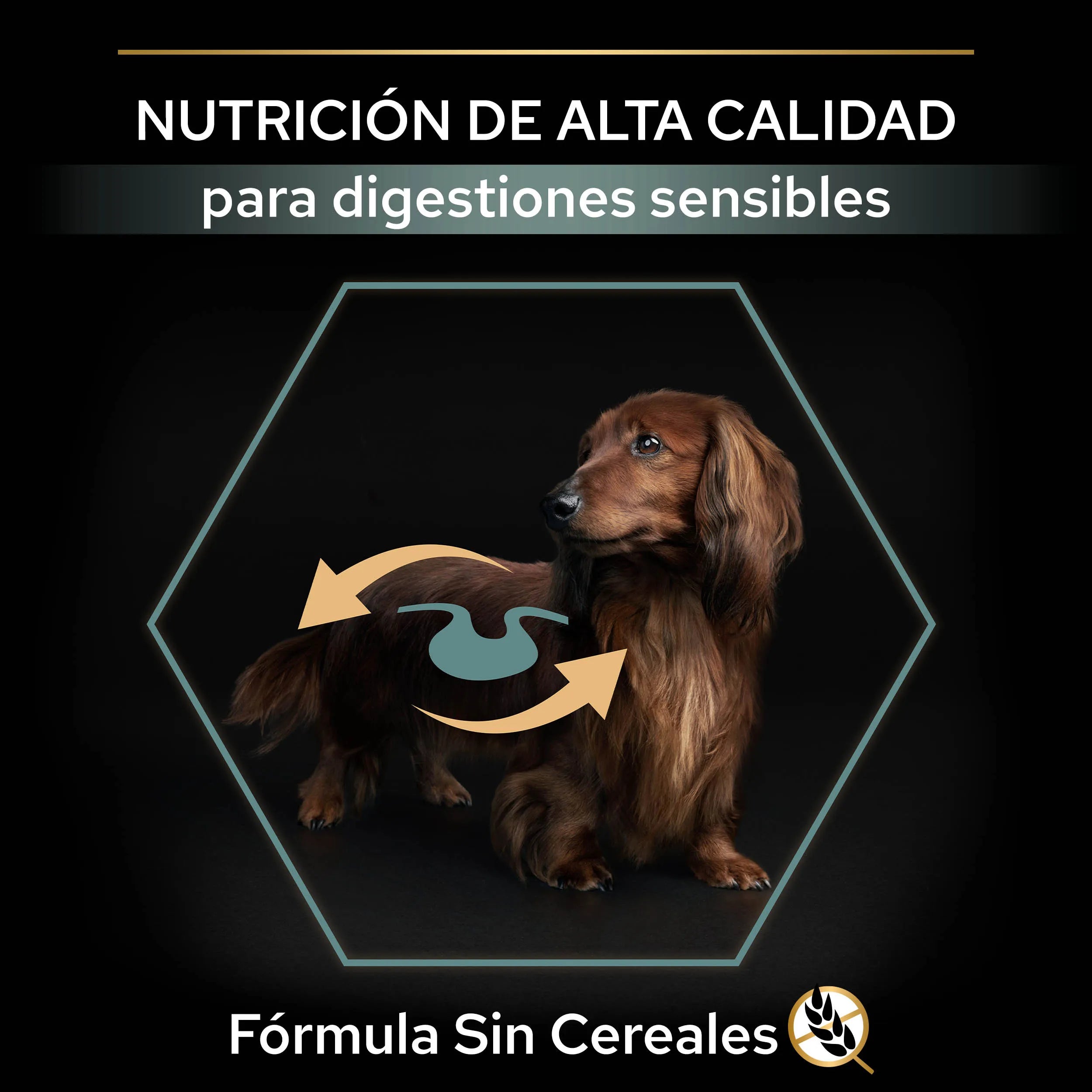 Pro Plan Small & Mini Adult Digest Grain Free Pavo Pienso para Perros al mejor precio -todoastorenimal.com