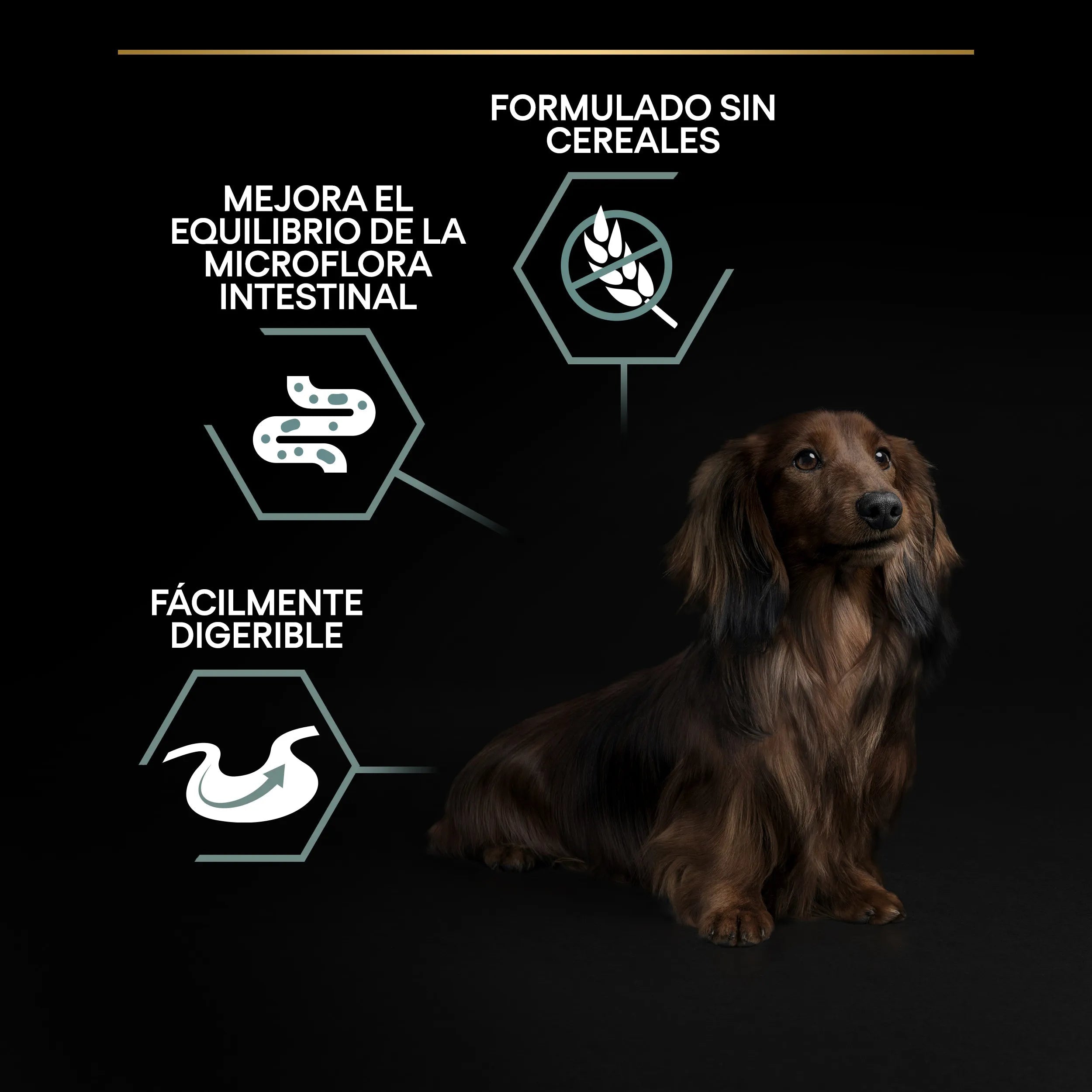 Pro Plan Small & Mini Adult Digest Grain Free Pavo Pienso para Perros al mejor precio -todoastorenimal.com