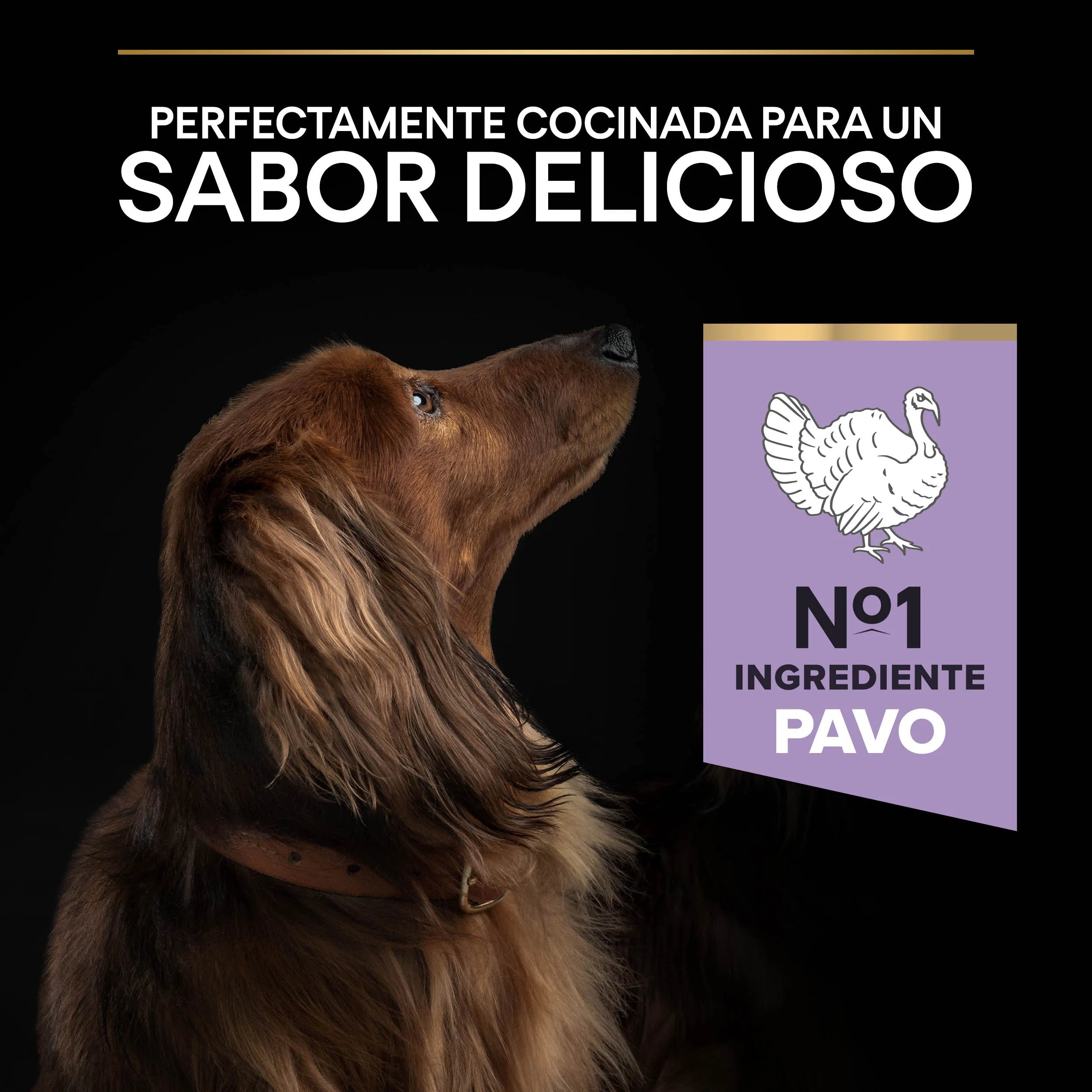 Pro Plan Small & Mini Adult Digest Grain Free Pavo Pienso para Perros al mejor precio -todoastorenimal.com