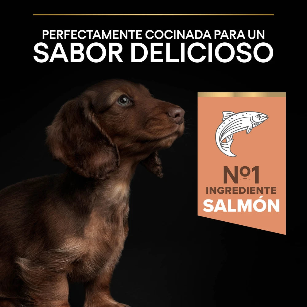 Pro Plan Small&Mini Puppy Sensitive Skin Salmón Pienso para Cachorros al mejor precio -todoastorenimal.com