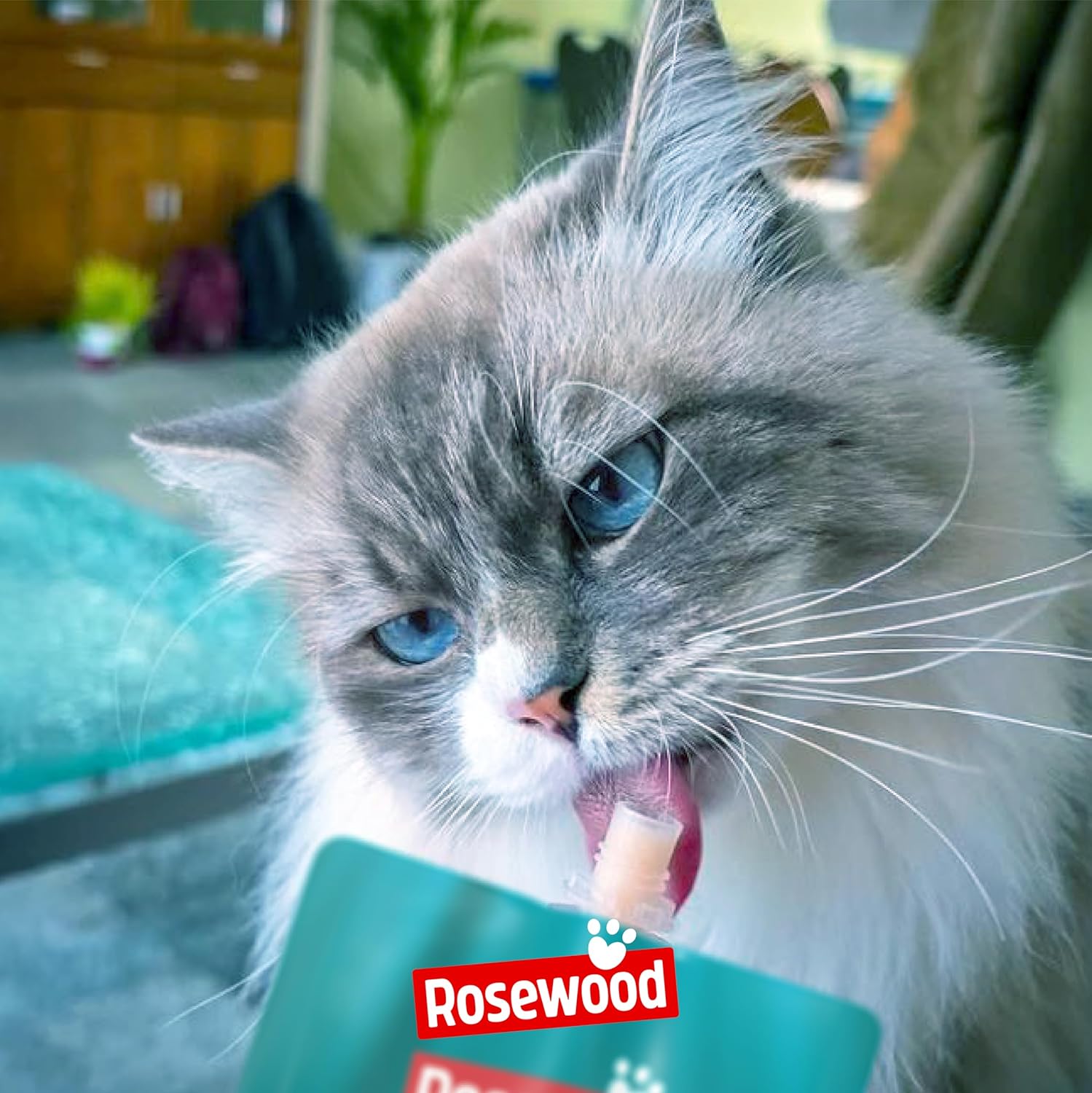 Rosewood Snack Deli Delight de Salmón para Gatos al mejor precio -todoastorenimal.com