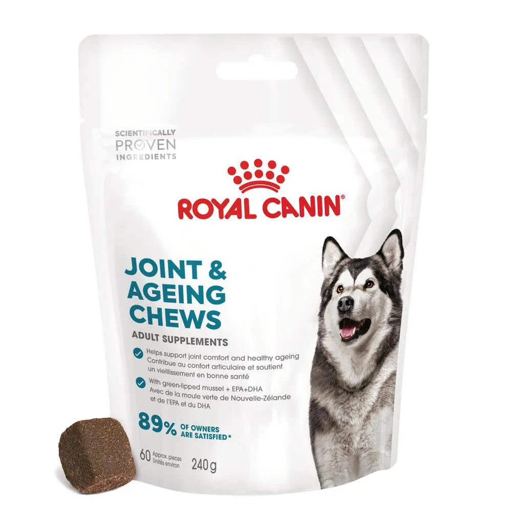 Royal Canin Adult Joint & Ageing 240 g Suplemento para Perros Adultos al mejor precio -todoastorenimal.com