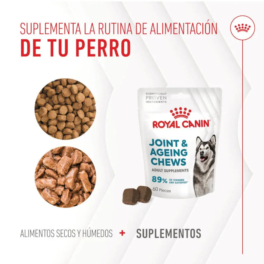 Royal Canin Adult Joint & Ageing 240 g Suplemento para Perros Adultos al mejor precio -todoastorenimal.com