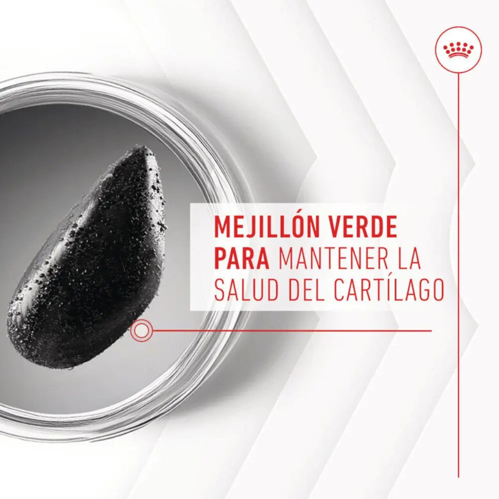 Royal Canin Adult Joint & Ageing 240 g Suplemento para Perros Adultos al mejor precio -todoastorenimal.com