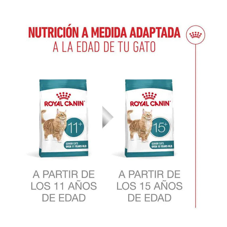 Royal Canin Ageing Sterilised 11+ Pienso para Gatos Senior Esterilizados al mejor precio -todoastorenimal.com