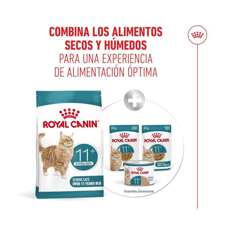 Royal Canin Ageing Sterilised 11+ Pienso para Gatos Senior Esterilizados al mejor precio -todoastorenimal.com