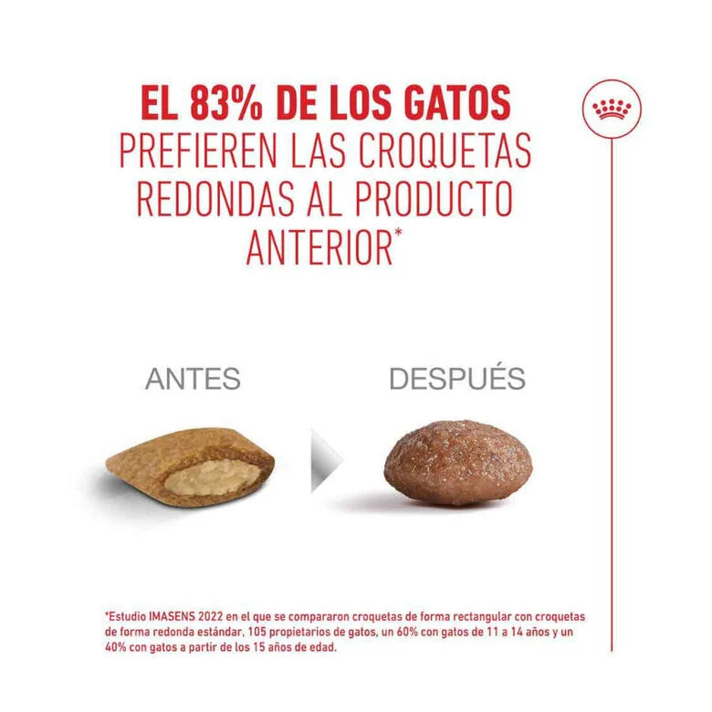 Royal Canin Ageing Sterilised 11+ Pienso para Gatos Senior Esterilizados al mejor precio -todoastorenimal.com