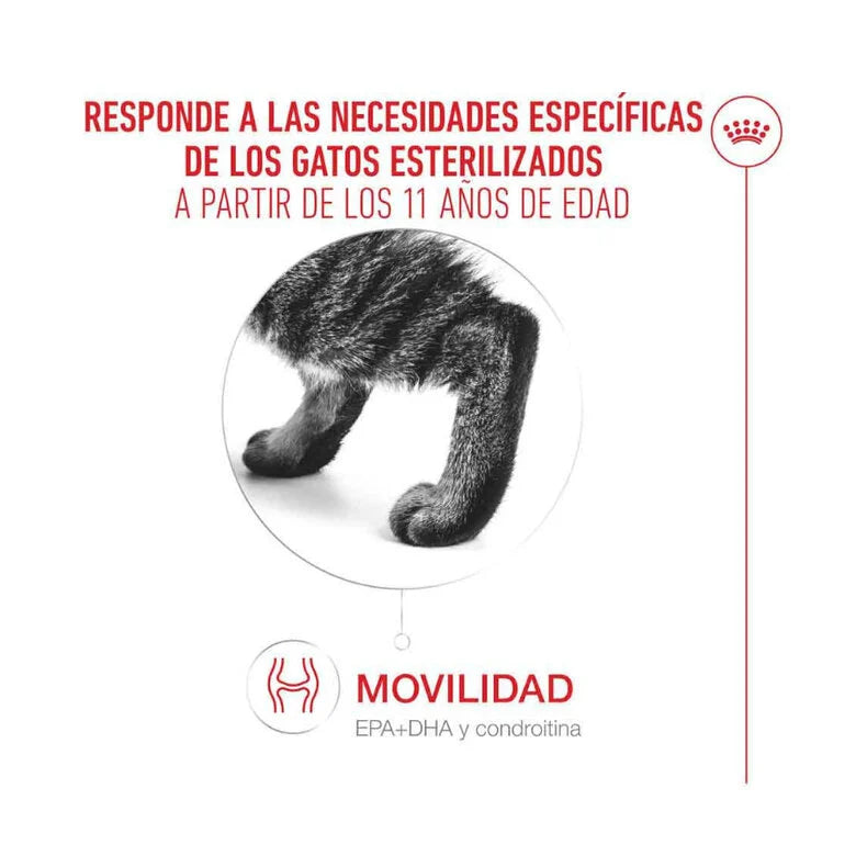 Royal Canin Ageing Sterilised 11+ Pienso para Gatos Senior Esterilizados al mejor precio -todoastorenimal.com