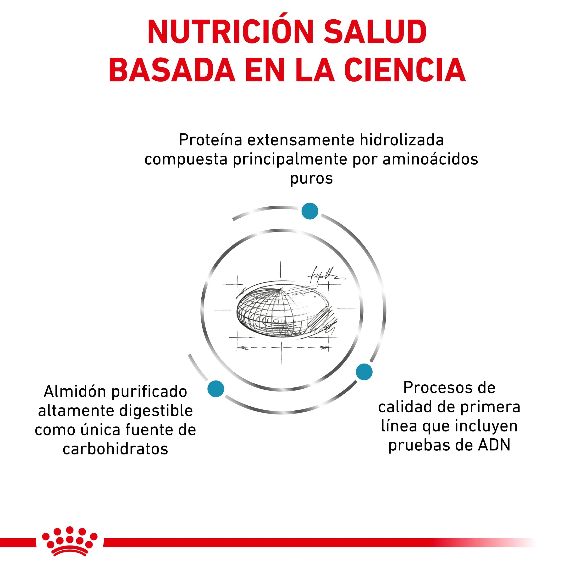 Royal Canin Anallergenic | Pienso Veterinario para Gatos con Intolerancias y Alergias Alimentarias al mejor precio -todoastorenimal.com