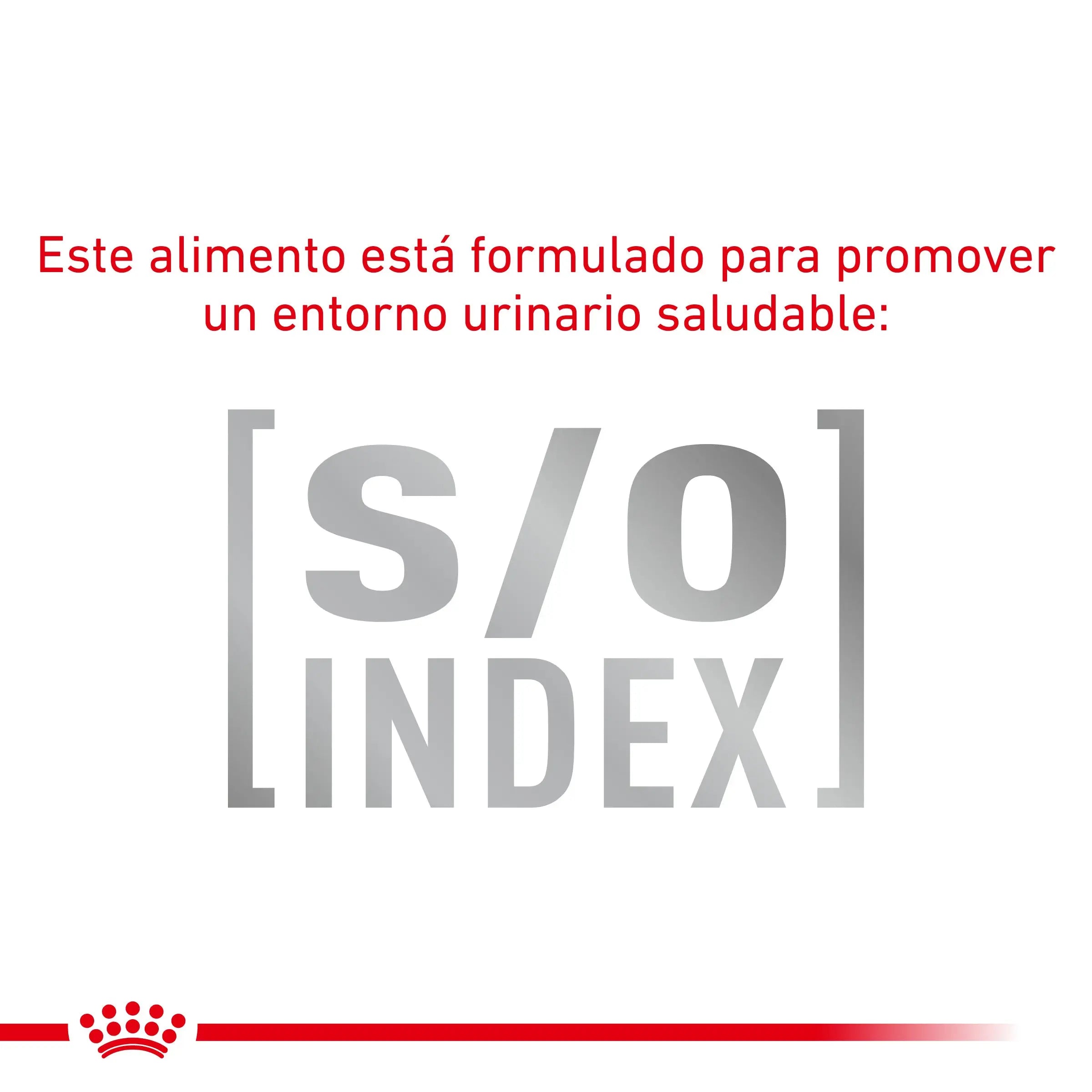 Royal Canin Anallergenic | Pienso Veterinario para Gatos con Intolerancias y Alergias Alimentarias al mejor precio -todoastorenimal.com
