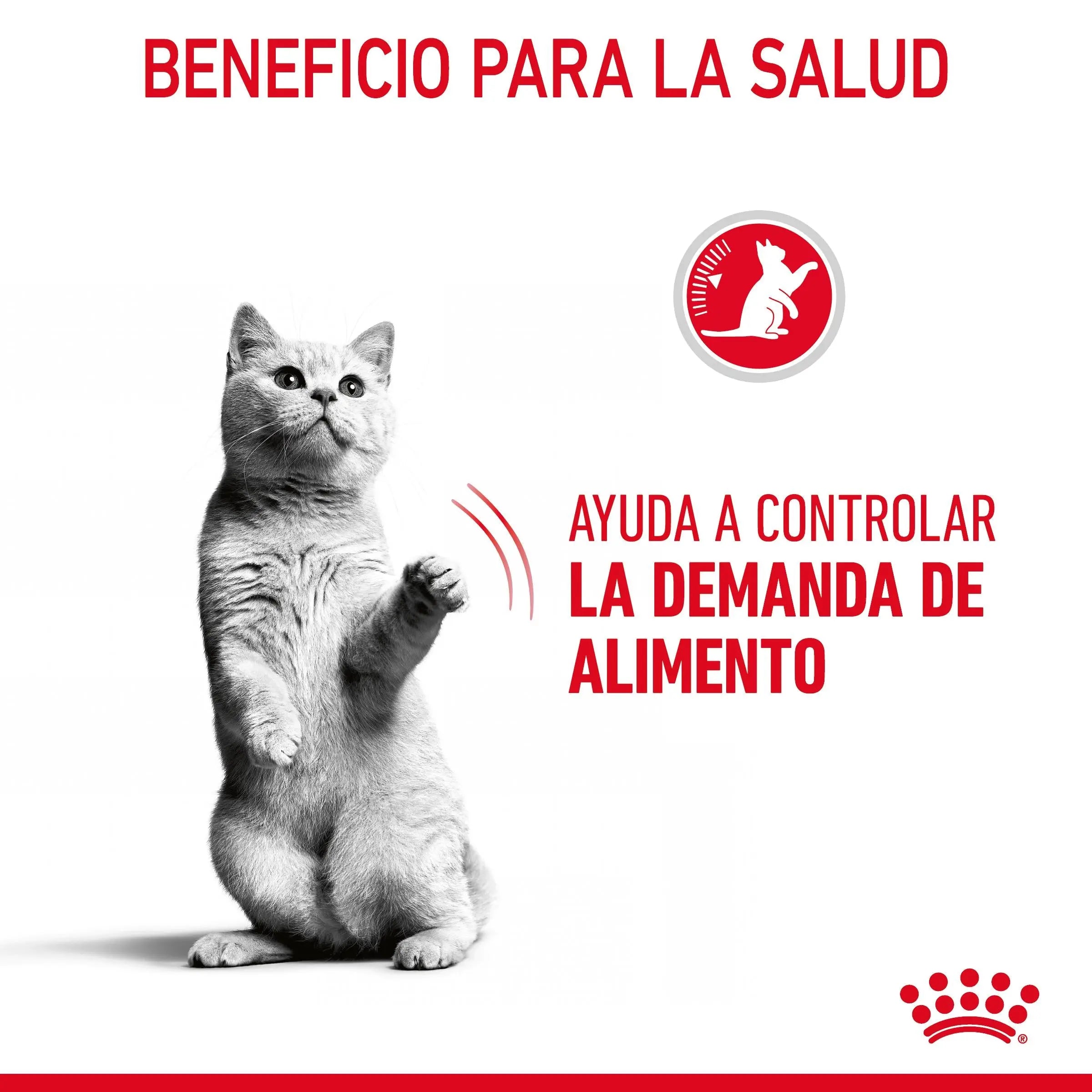Royal Canin Appetite Control Pienso para Gatos al mejor precio -todoastorenimal.com