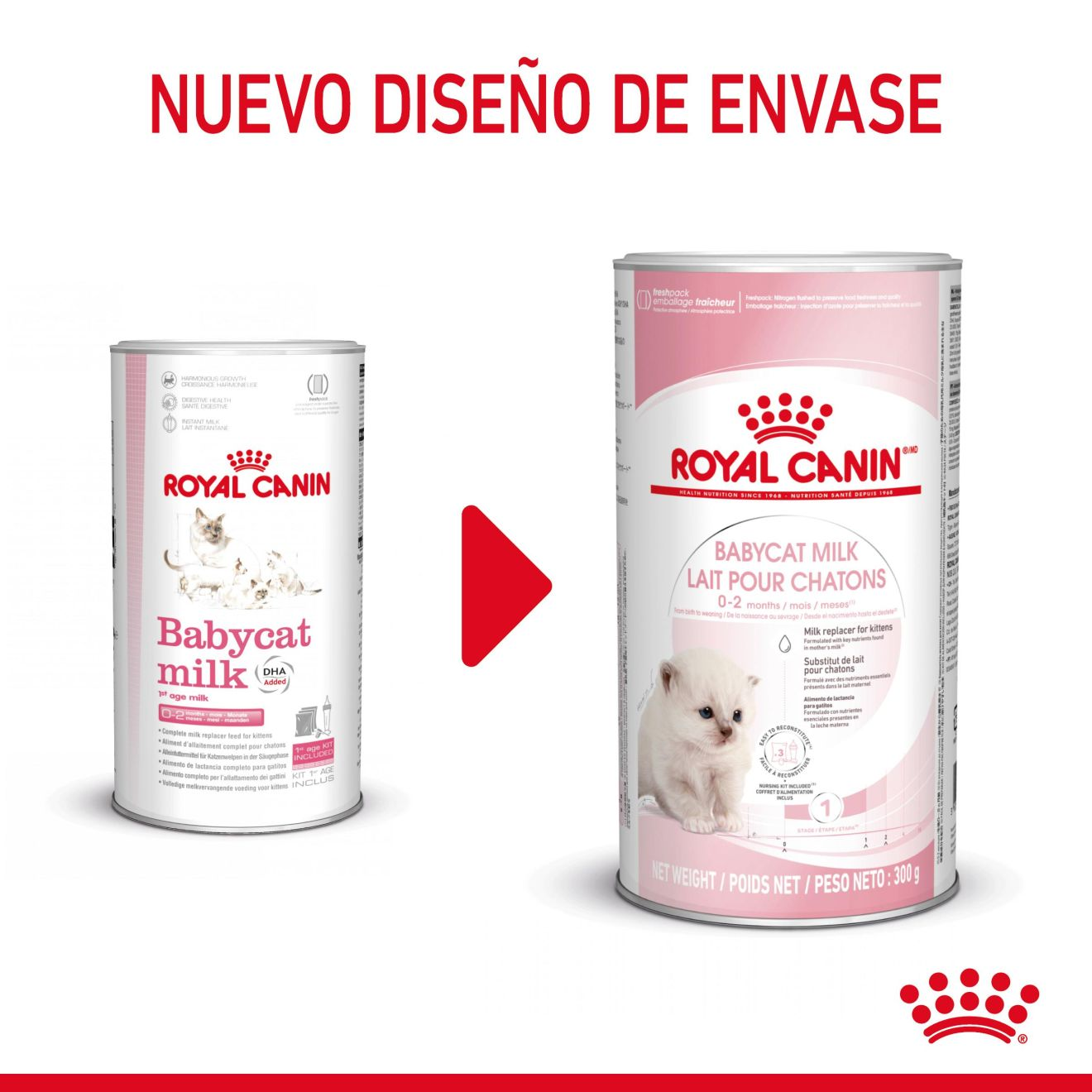 Royal Canin Babycat Milk 300 g Kit Leche en Polvo para Gatitos al mejor precio -todoastorenimal.com