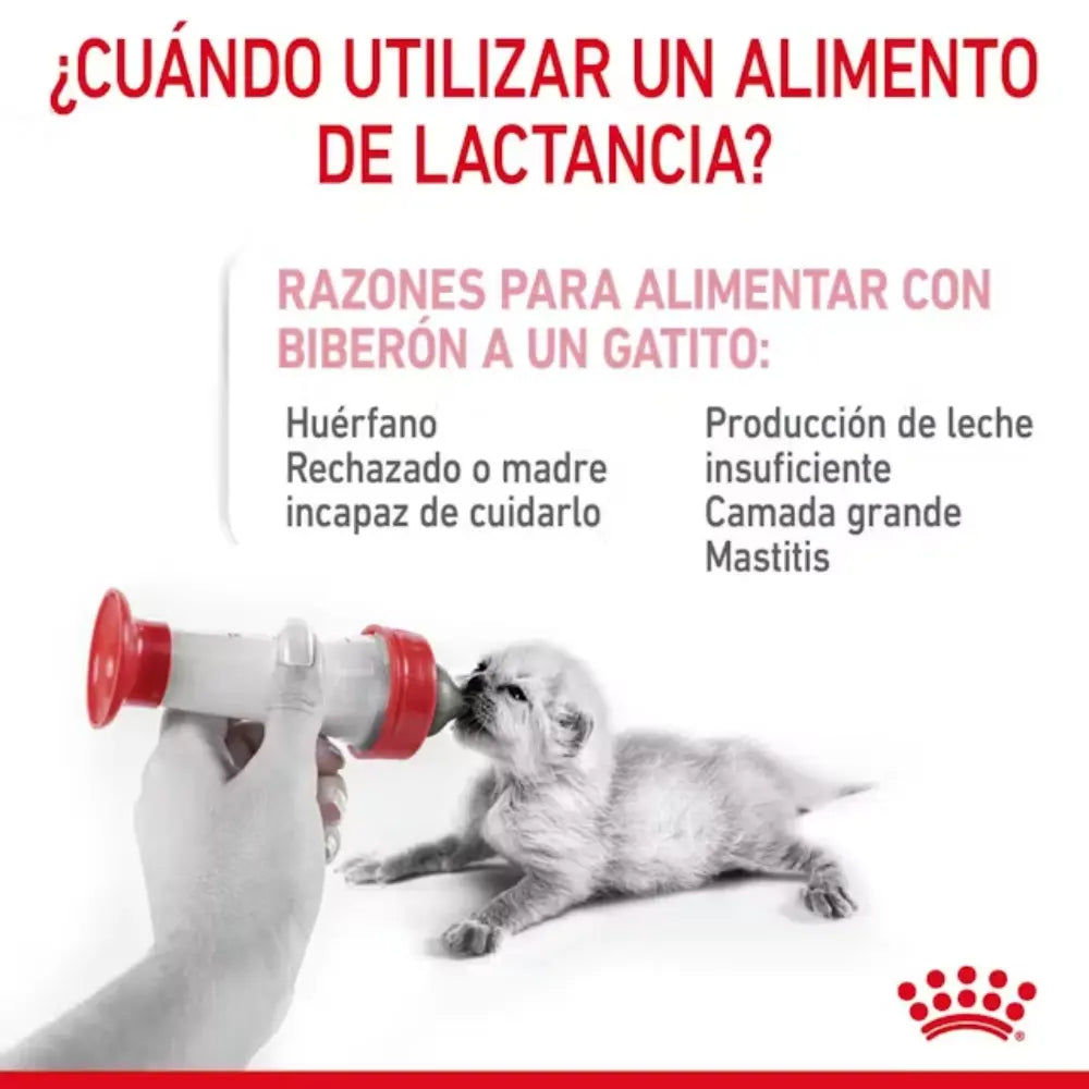 Royal Canin Babycat Milk 300 g al mejor precio -todoastorenimal.com
