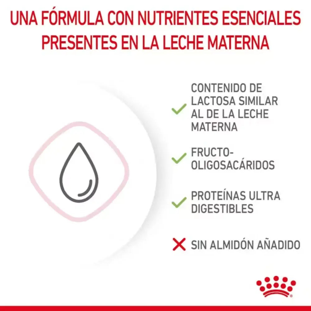 Royal Canin Babycat Milk 300 g al mejor precio -todoastorenimal.com