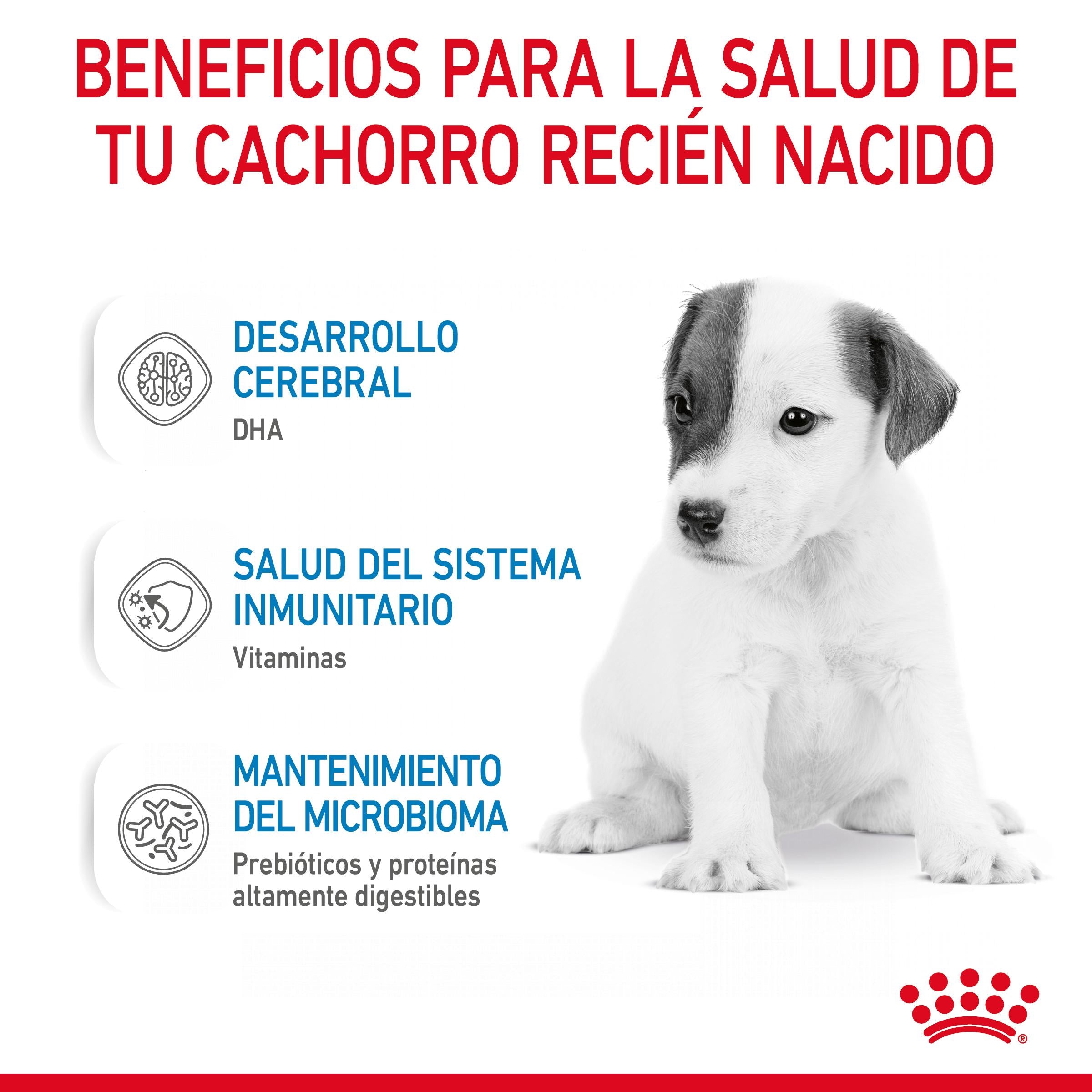 Royal Canin Babydog Milk Leche en Polvo para Cachorros al mejor precio -todoastorenimal.com