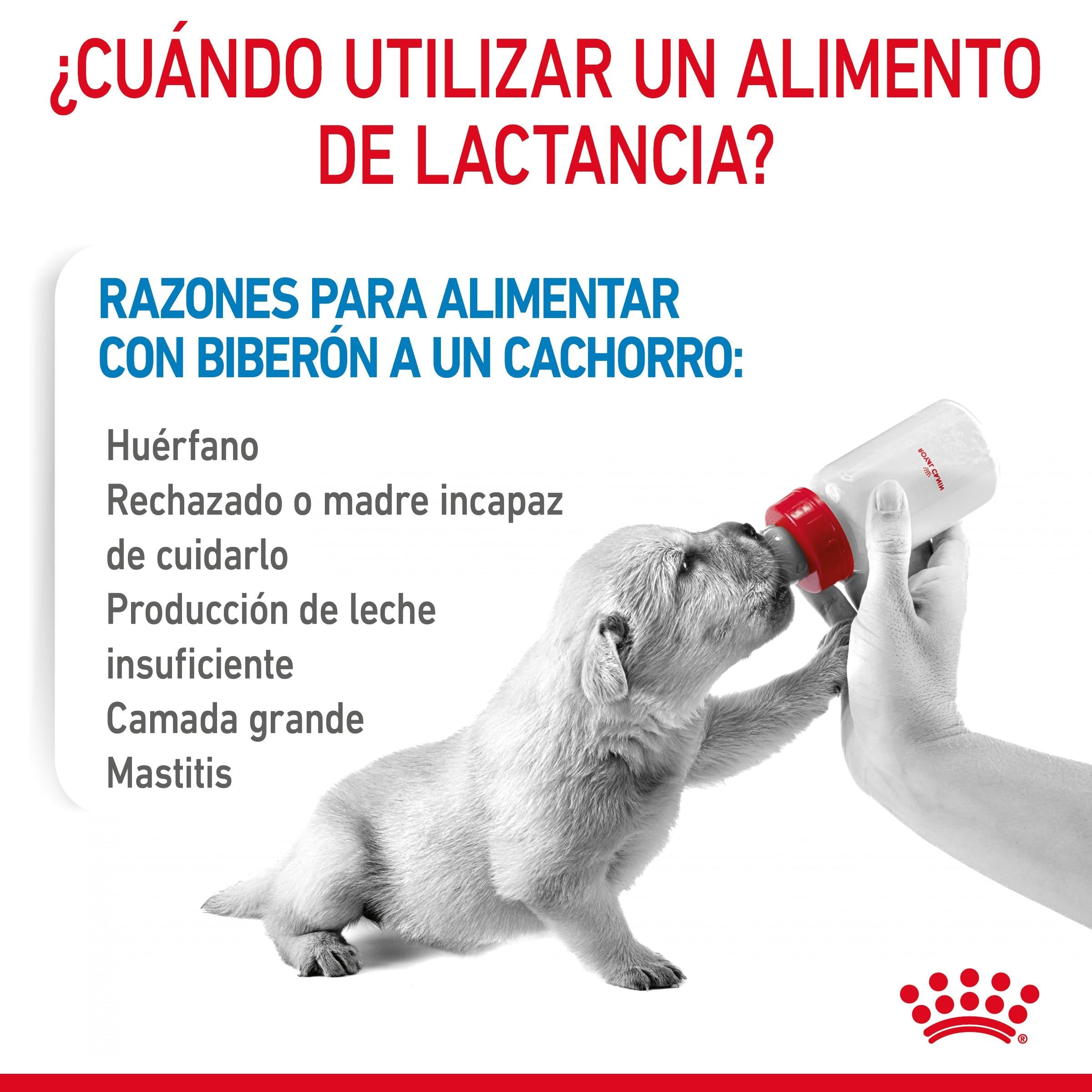 Royal Canin Babydog Milk Leche en Polvo para Cachorros al mejor precio -todoastorenimal.com