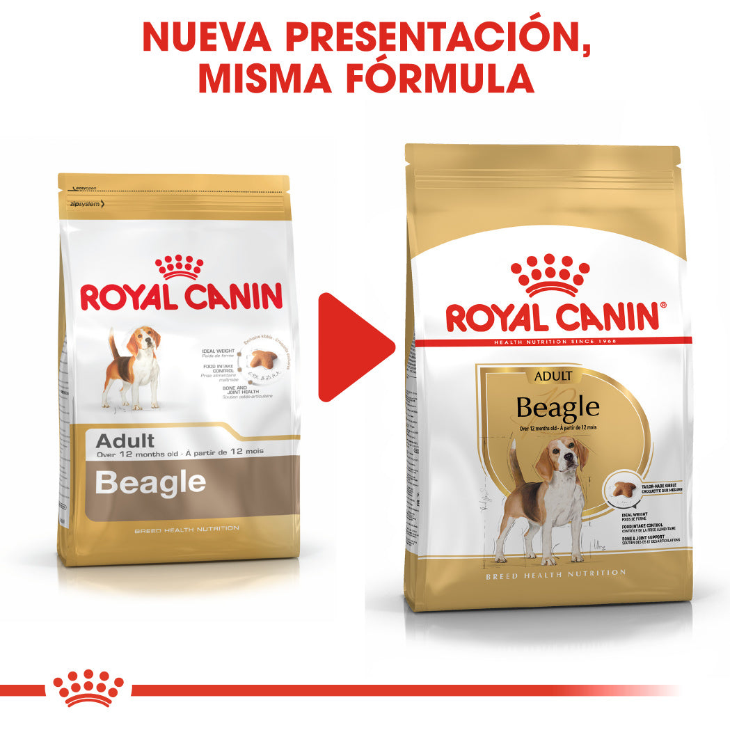 Royal Canin Beagle, Adulto al mejor precio -todoastorenimal.com