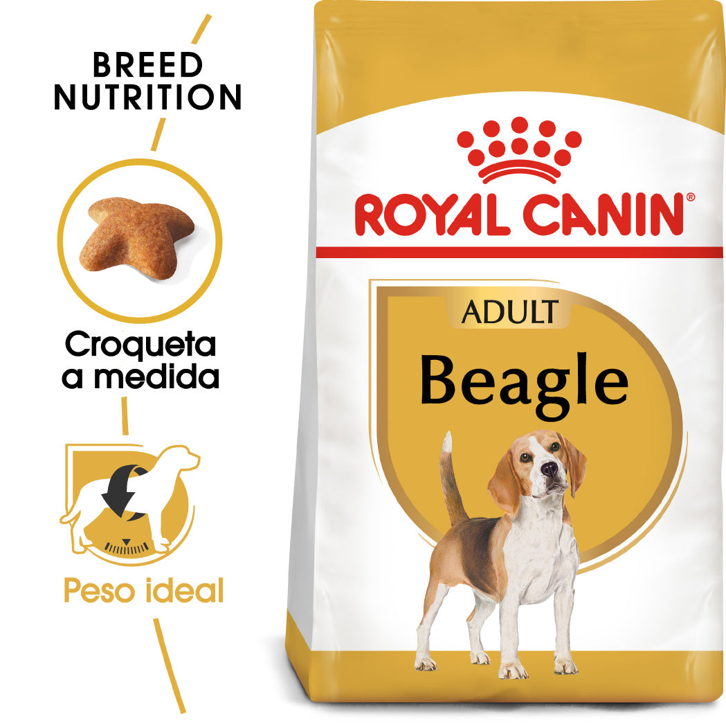 Royal Canin Beagle, Adulto al mejor precio -todoastorenimal.com