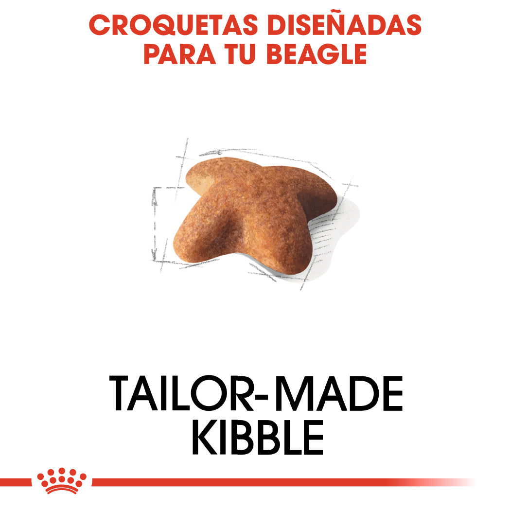 Royal Canin Beagle, Adulto al mejor precio -todoastorenimal.com