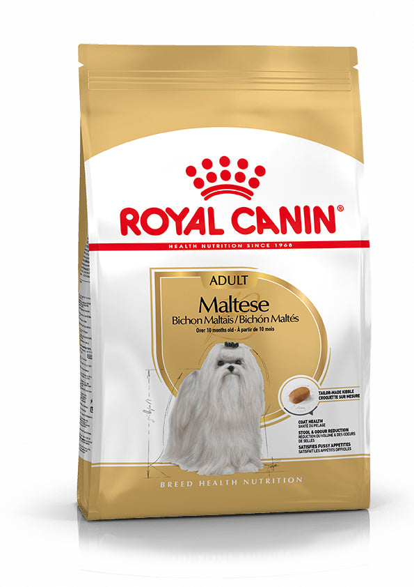 Royal Canin Bichón Maltés Pienso para Perros Adultos de Raza al mejor precio -todoastorenimal.com