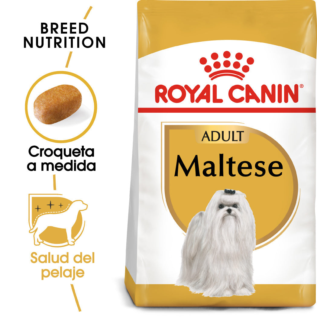 Royal Canin Bichón Maltés Pienso para Perros Adultos de Raza al mejor precio -todoastorenimal.com